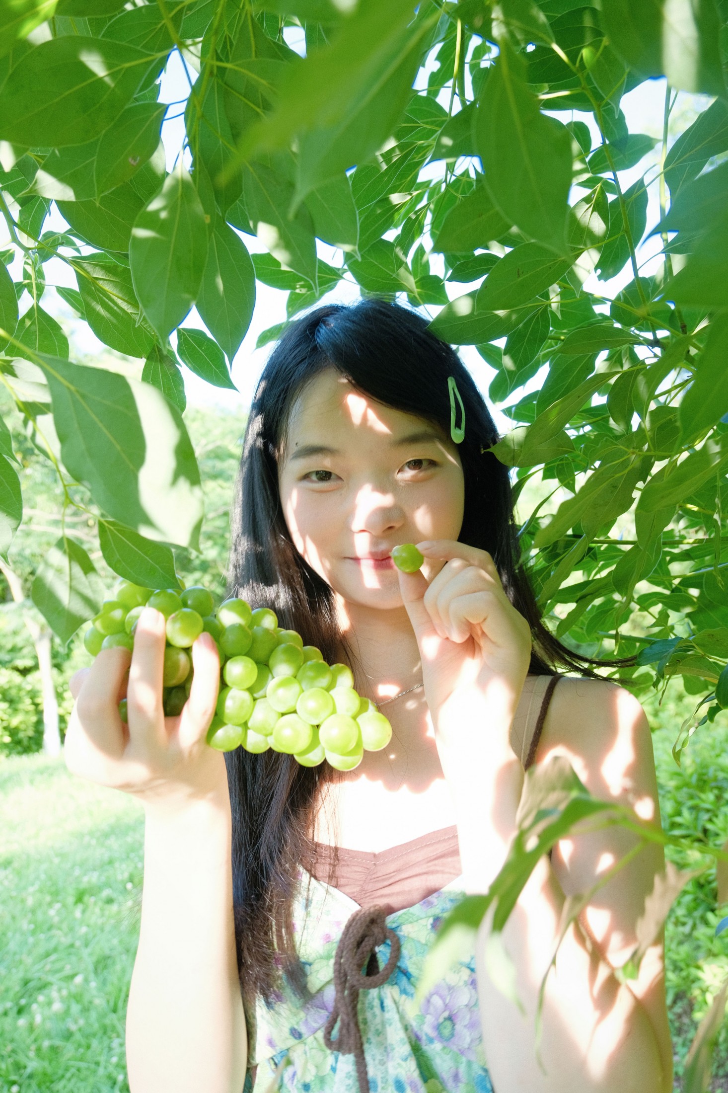 幸运汤圆 – 《夏日青提》[16P]