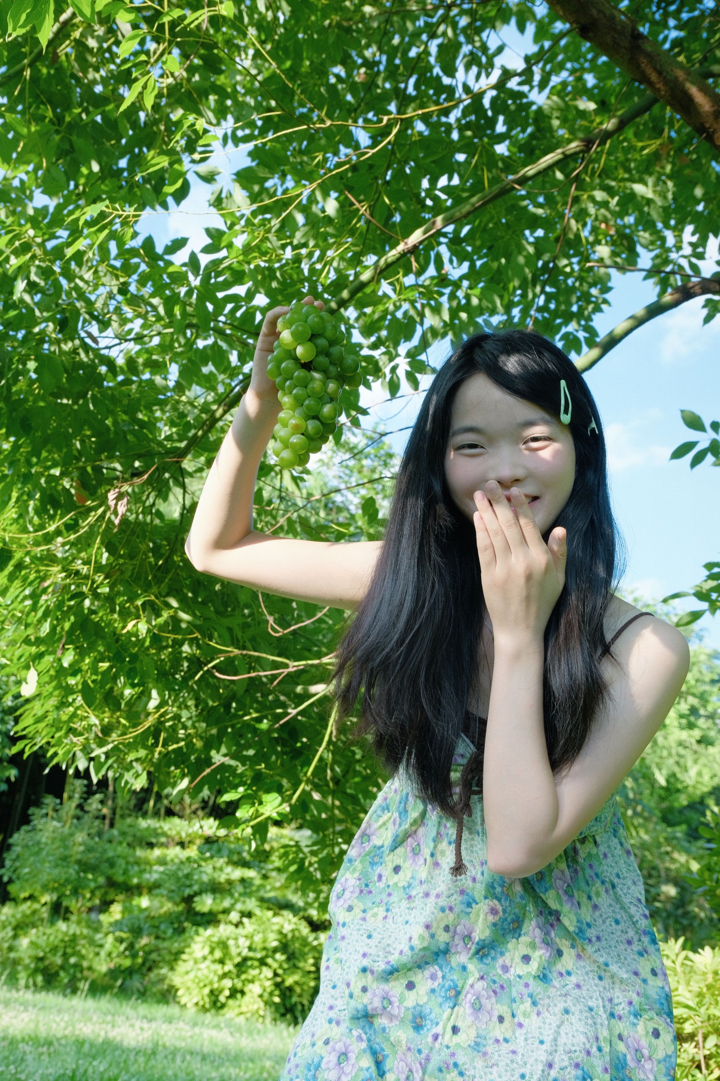 幸运汤圆 – 《夏日青提》[16P]