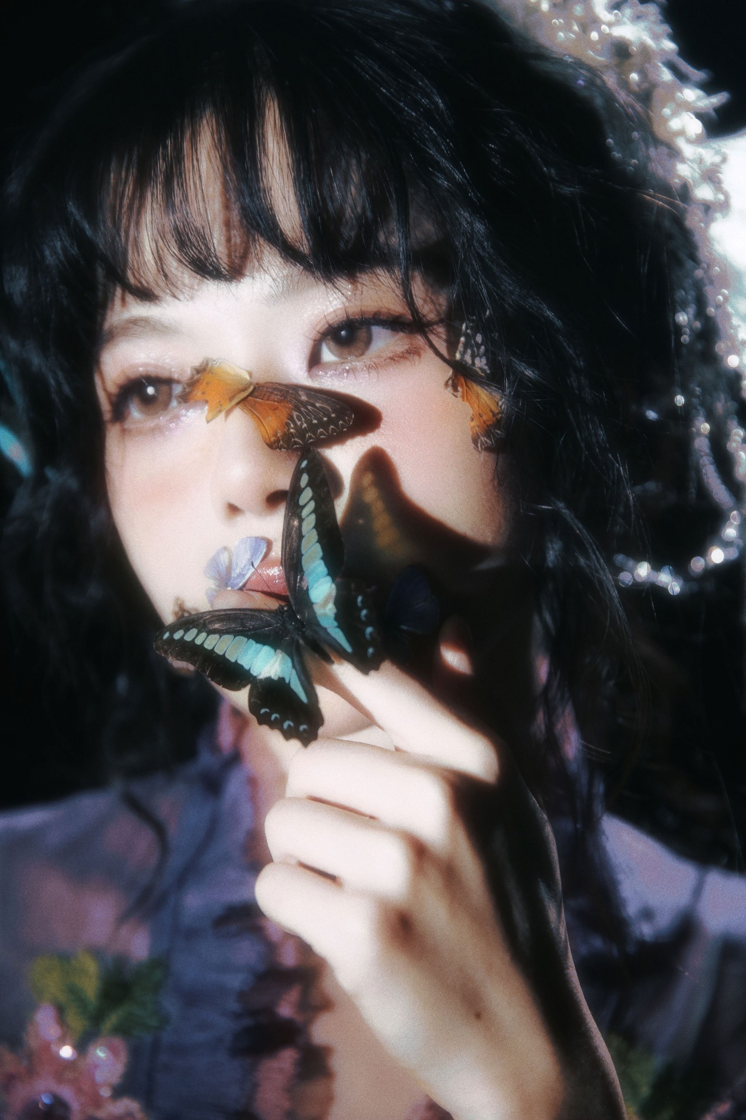 – 《蝴蝶》[9P]