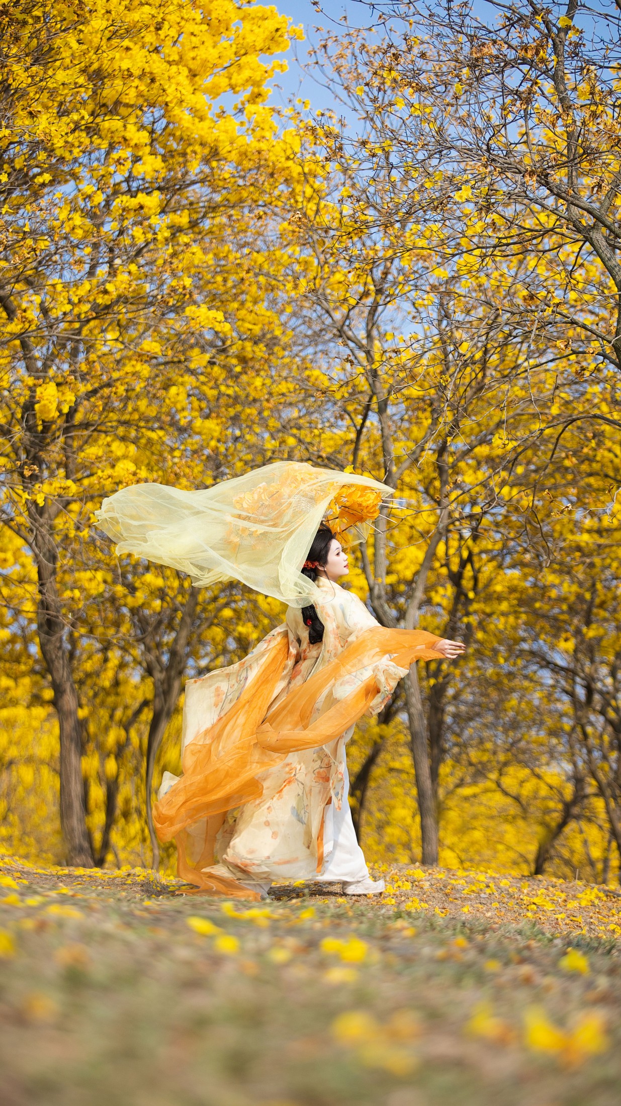 阿程程 – 《谁能拒绝黄色的花海！！！》[10P]