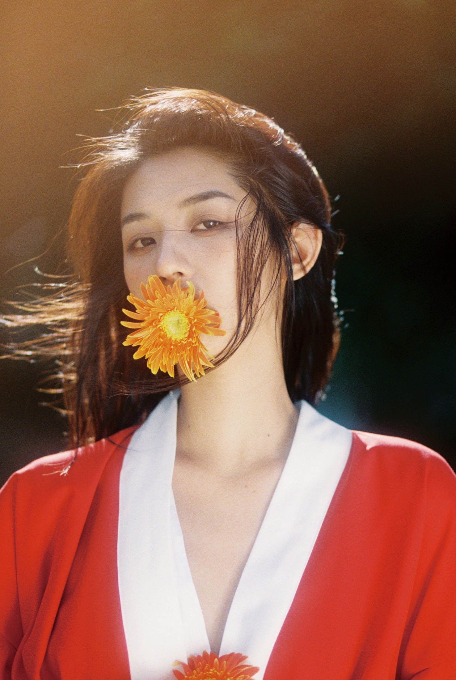 – 《昭和》[13P]