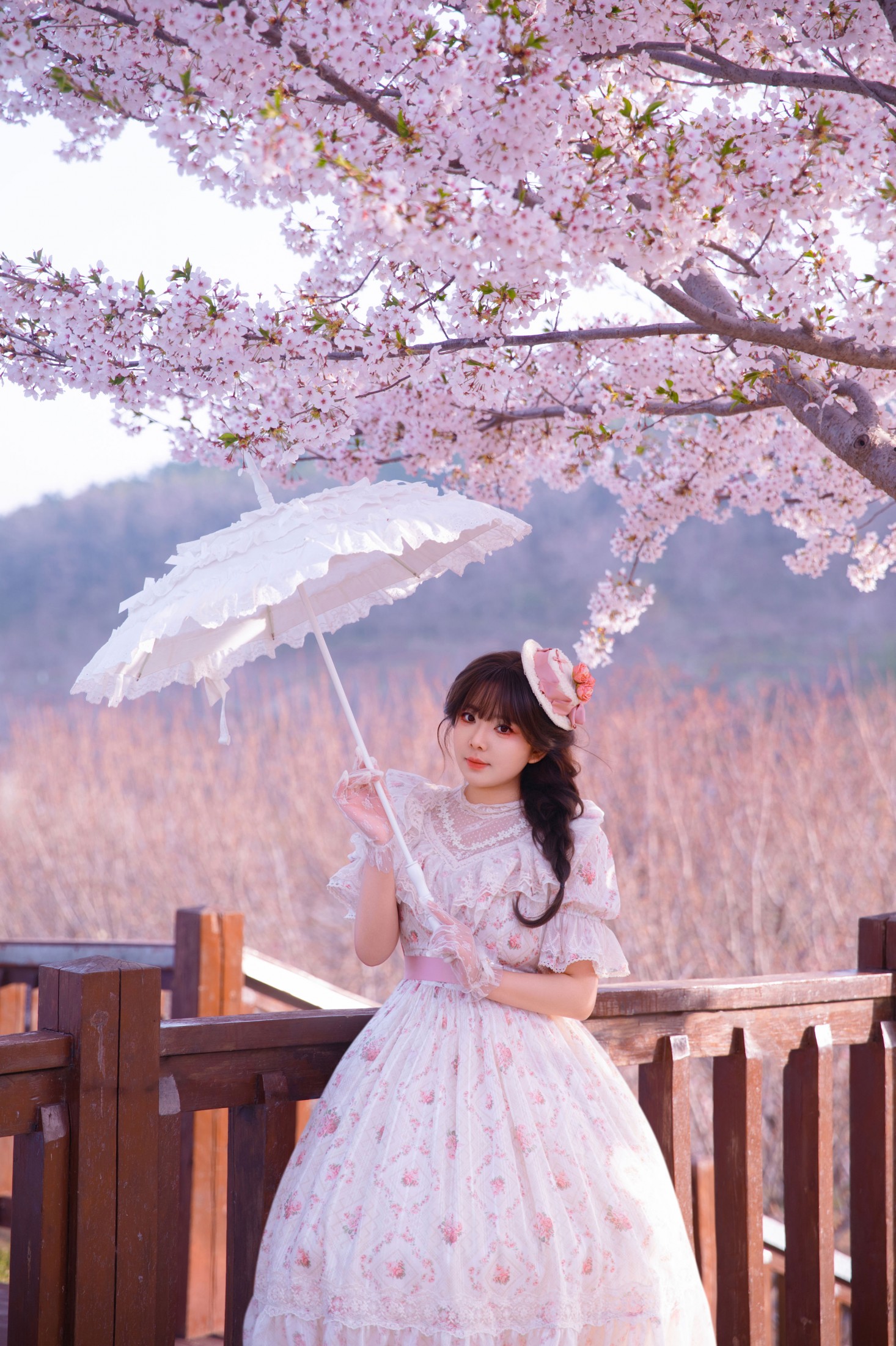 六六 – 《樱园洛丽塔：童话春境的少女诗》[30P]