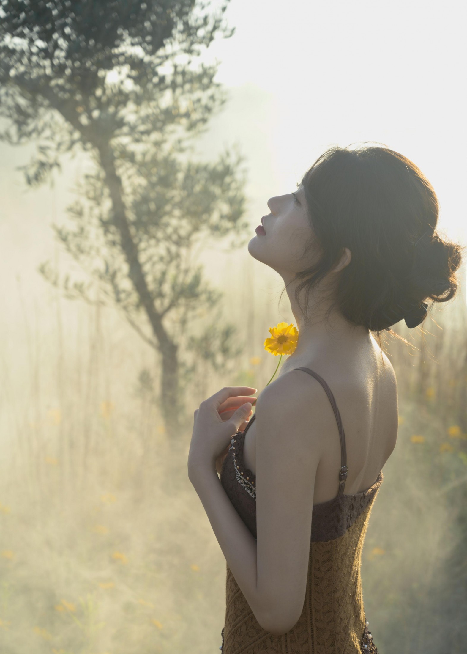 – 《大理》[15P]