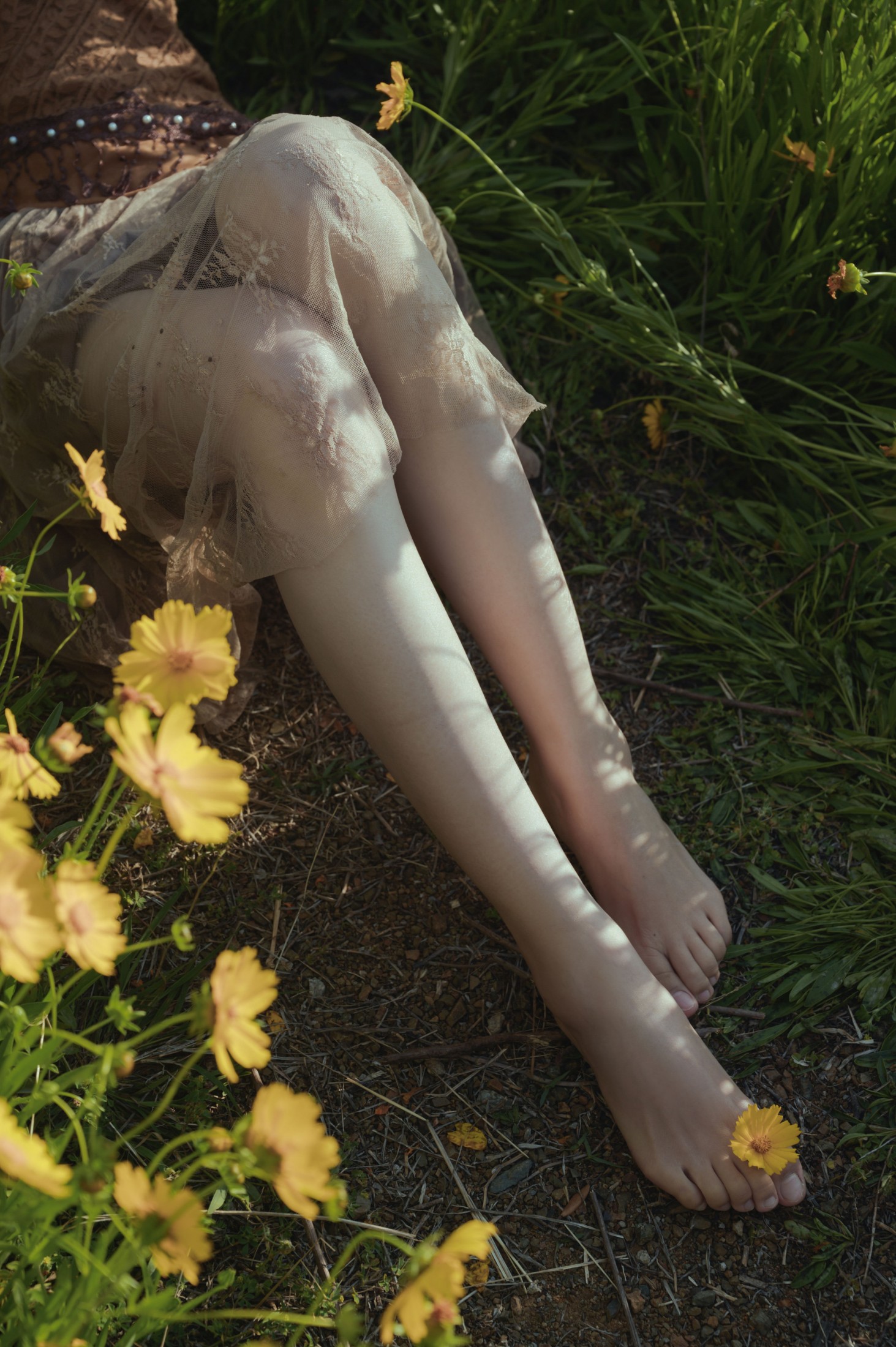 – 《大理》[15P]