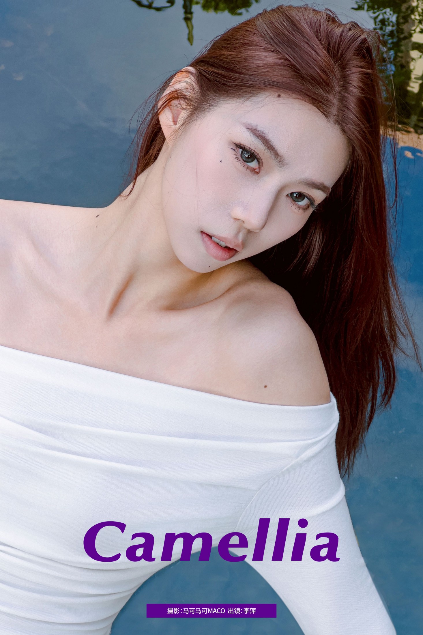 李萍 – 《Camellia》[20P]