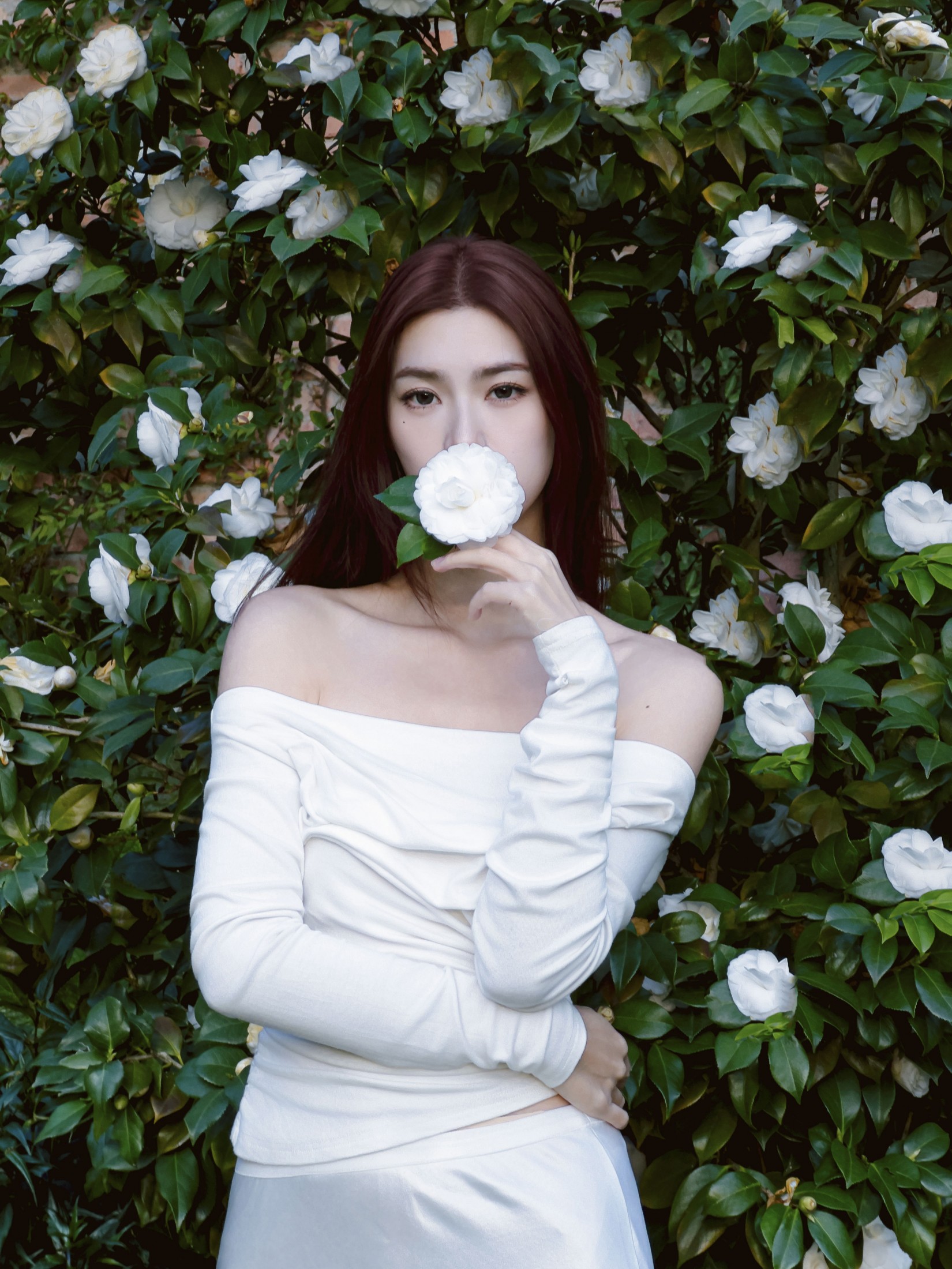 李萍 – 《Camellia》[20P] 插图3