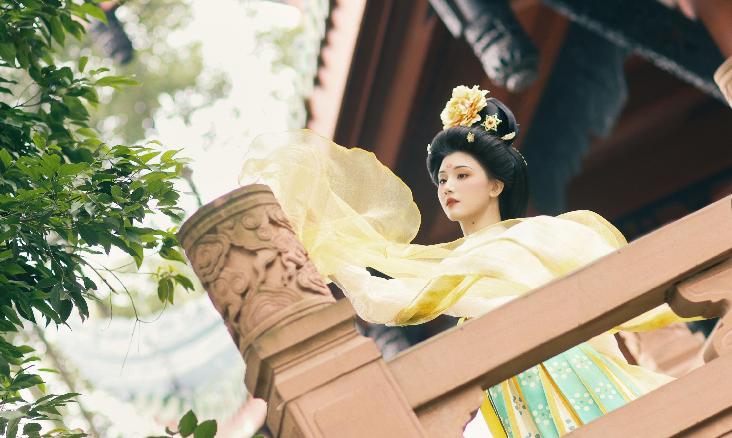 欣慧 – 《国色芳华》[14P]