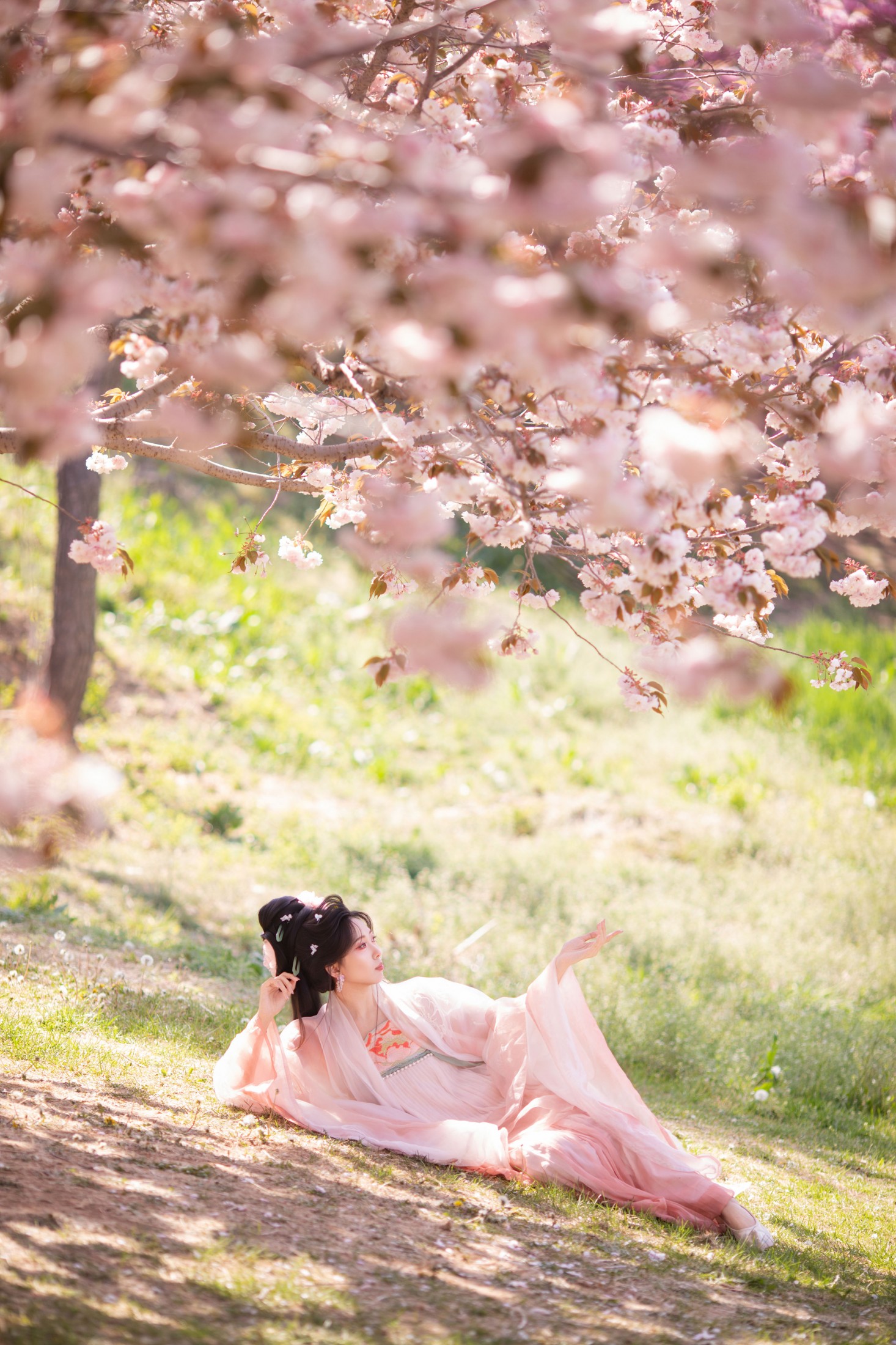  – 《樱园赋·国风少女与花共眠》[16P] 插图4