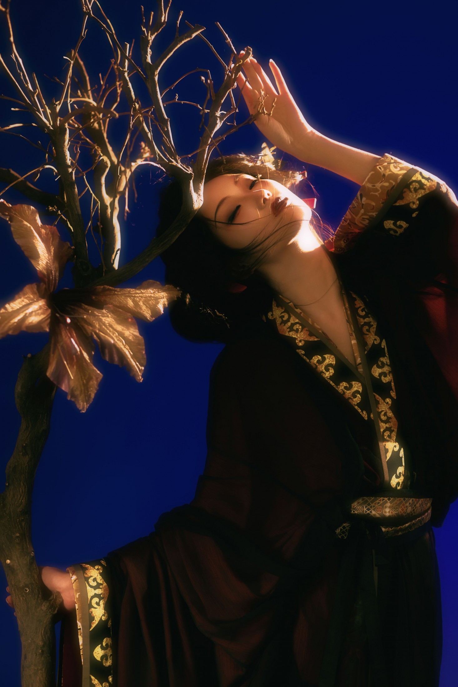 – 《秦·刺》[11P]