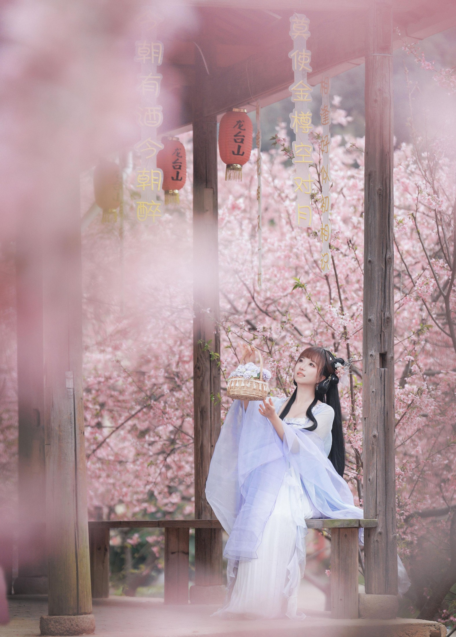 阿咩咩咩 – 《古风人像拍摄-樱花-陌上花开》[16P] 插图2