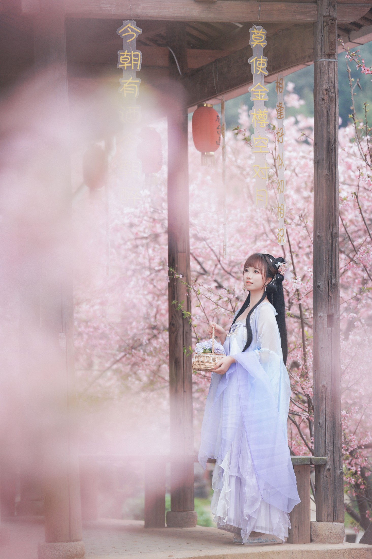 阿咩咩咩 – 《古风人像拍摄-樱花-陌上花开》[16P] 插图4