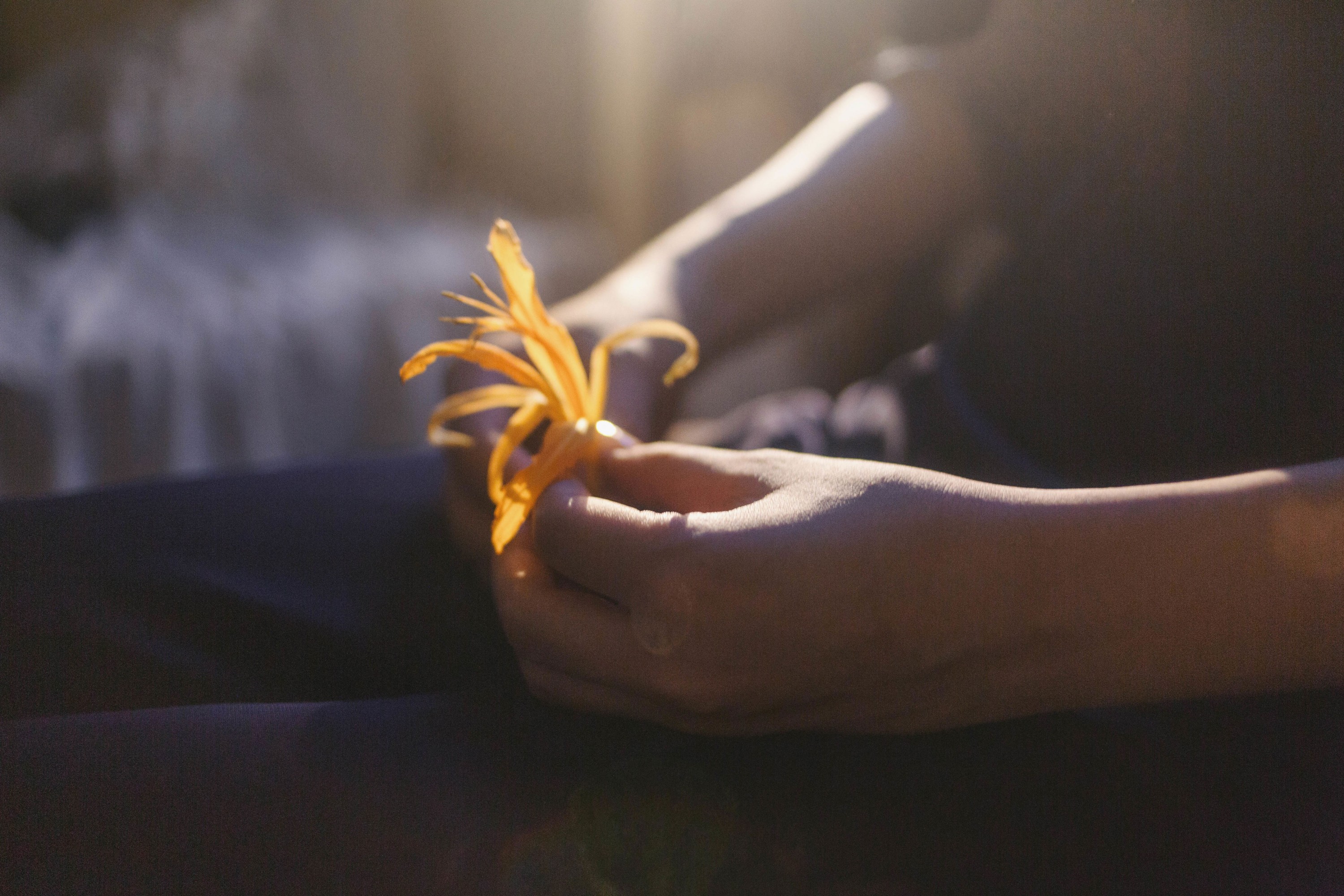  – 《词不达意》[15P] 插图4