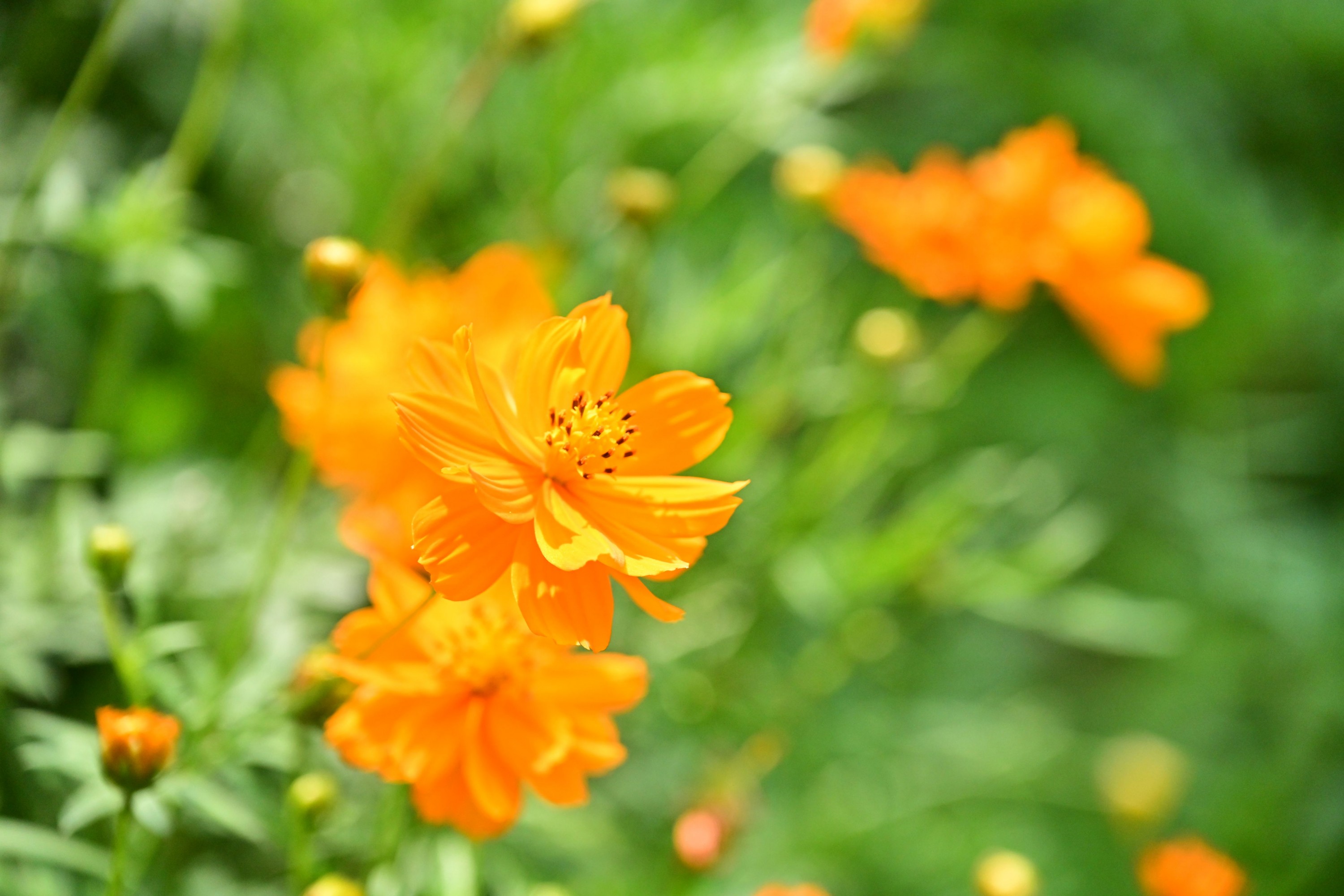  – 《山西长治青龙峡》[10P] 插图5