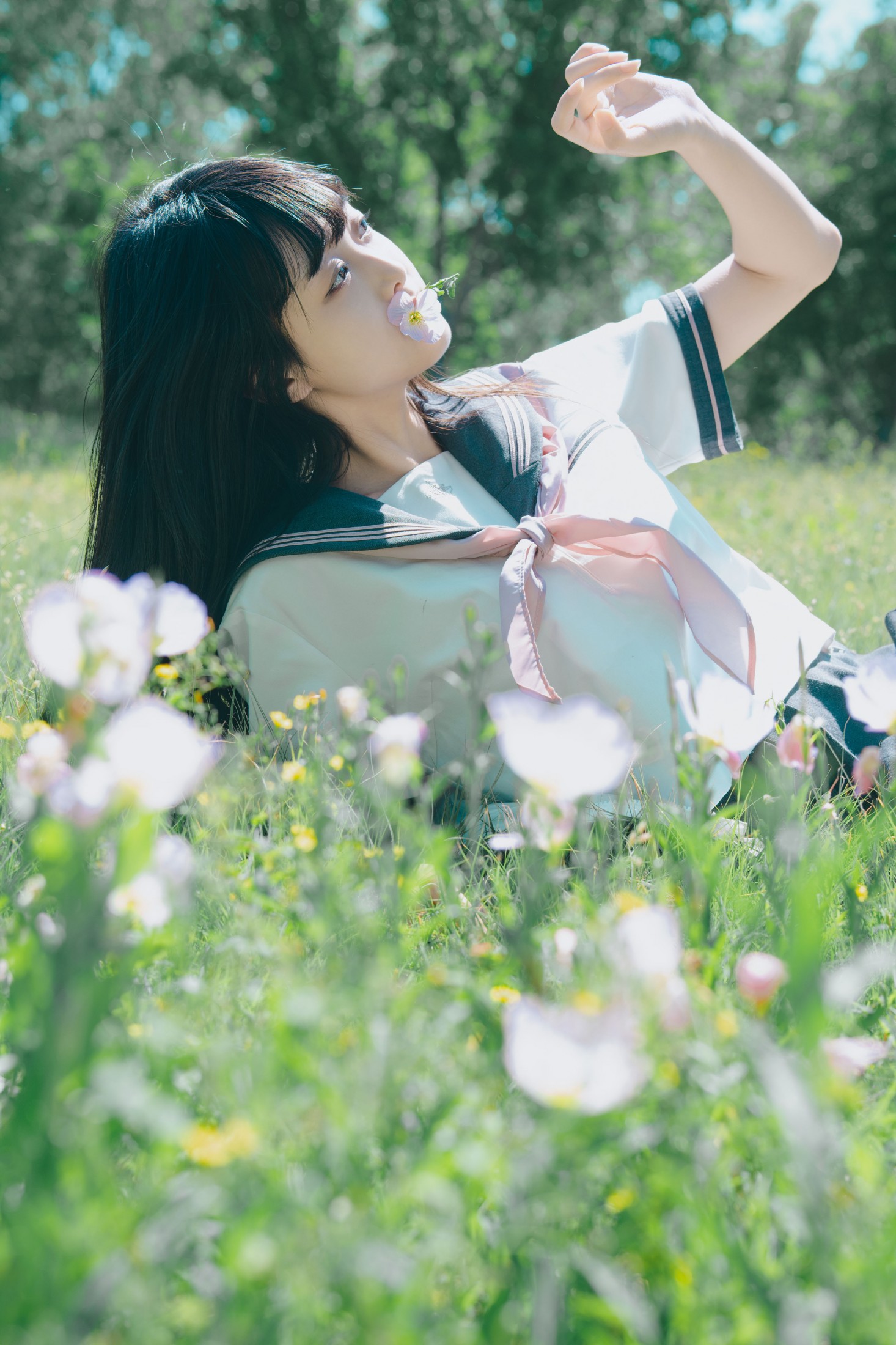 狸狸大饼 – 《幻境月见草之梦》[26P]