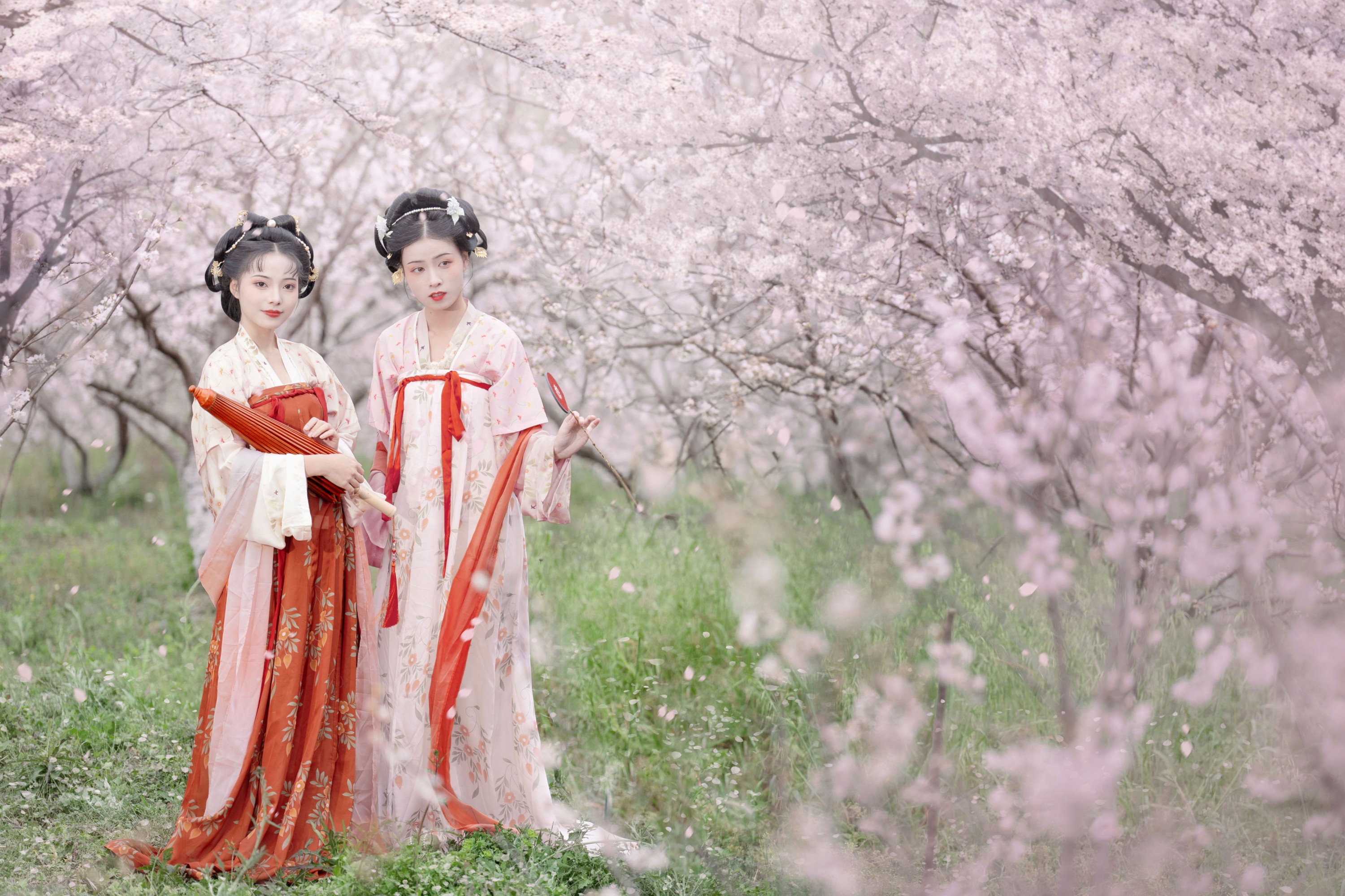 遥七不卖鸡毛菜 佳妃 – 《一朝春雨落·十里春花开》[9P]