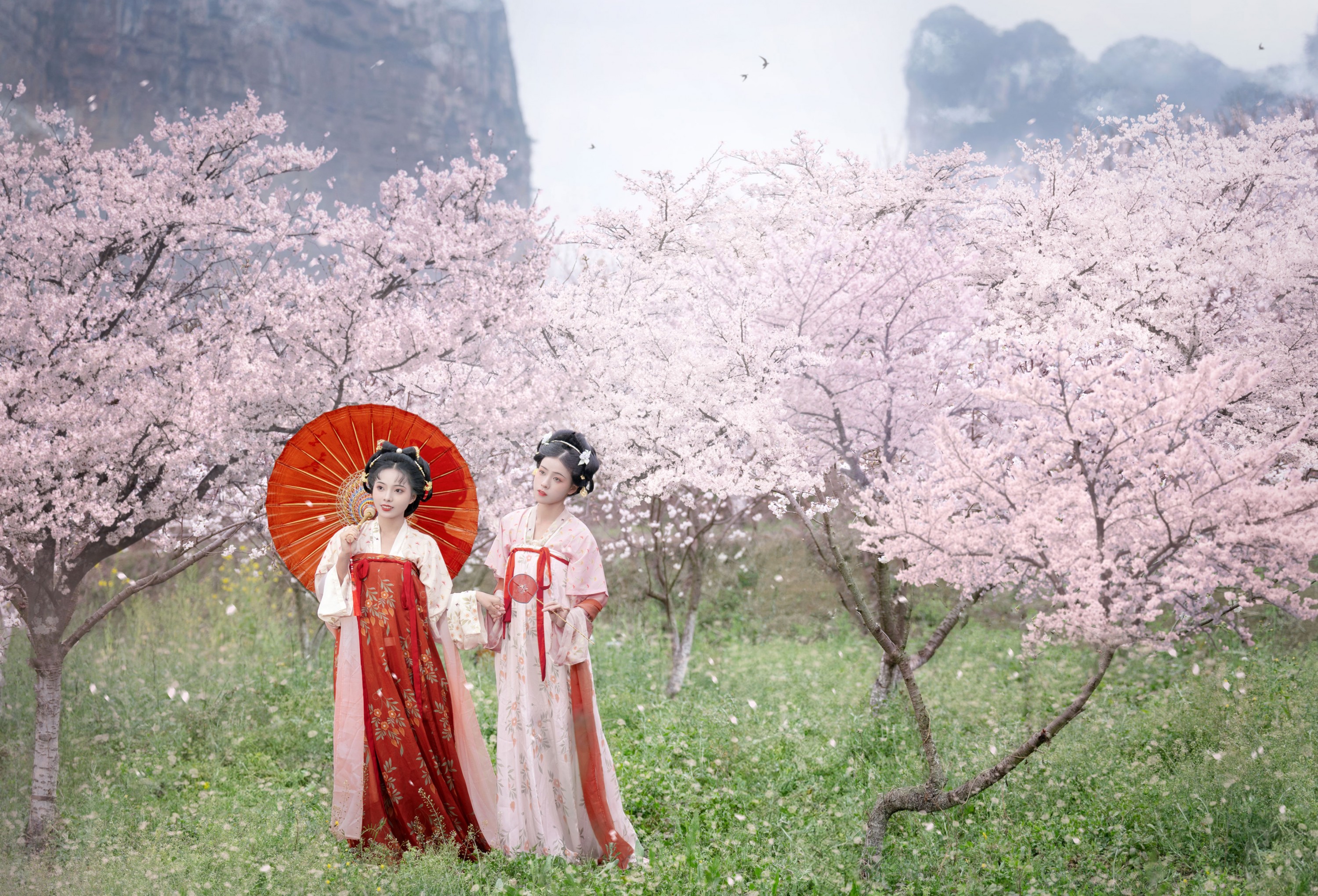 遥七不卖鸡毛菜 佳妃 – 《一朝春雨落·十里春花开》[9P]