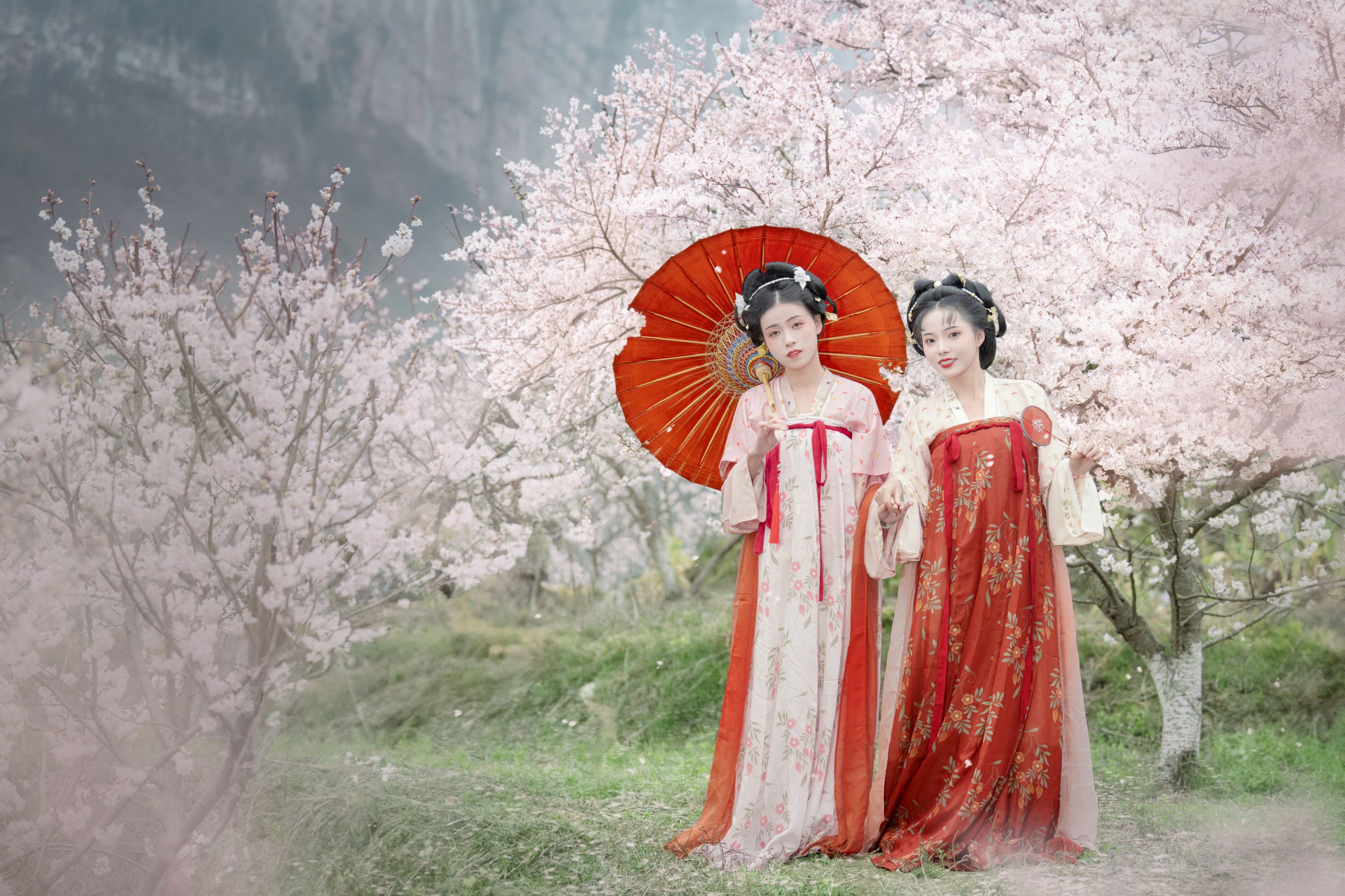 遥七不卖鸡毛菜 佳妃 – 《一朝春雨落·十里春花开》[9P]