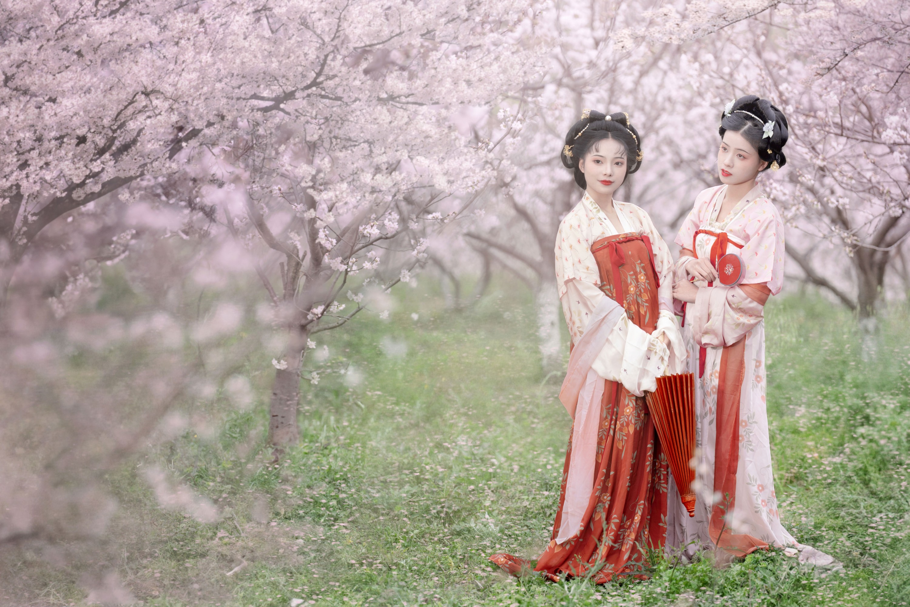 遥七不卖鸡毛菜 佳妃 – 《一朝春雨落·十里春花开》[9P]