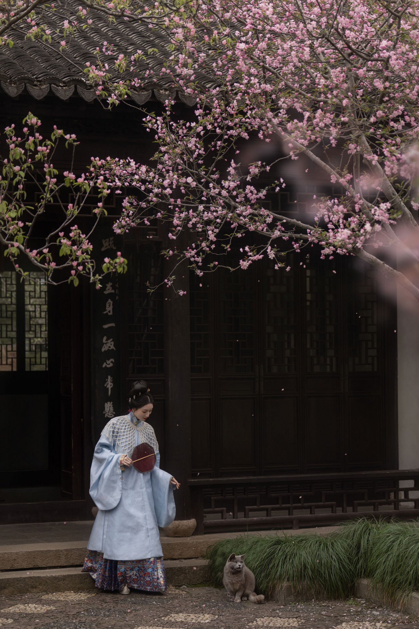 徐浪浪走在马路上 – 《海棠铺秀》[9P]