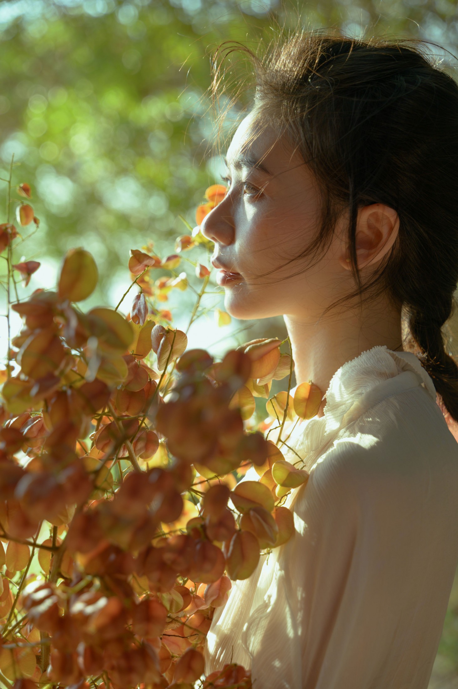 小张 – 《栾树的秋天》[42P] 插图5