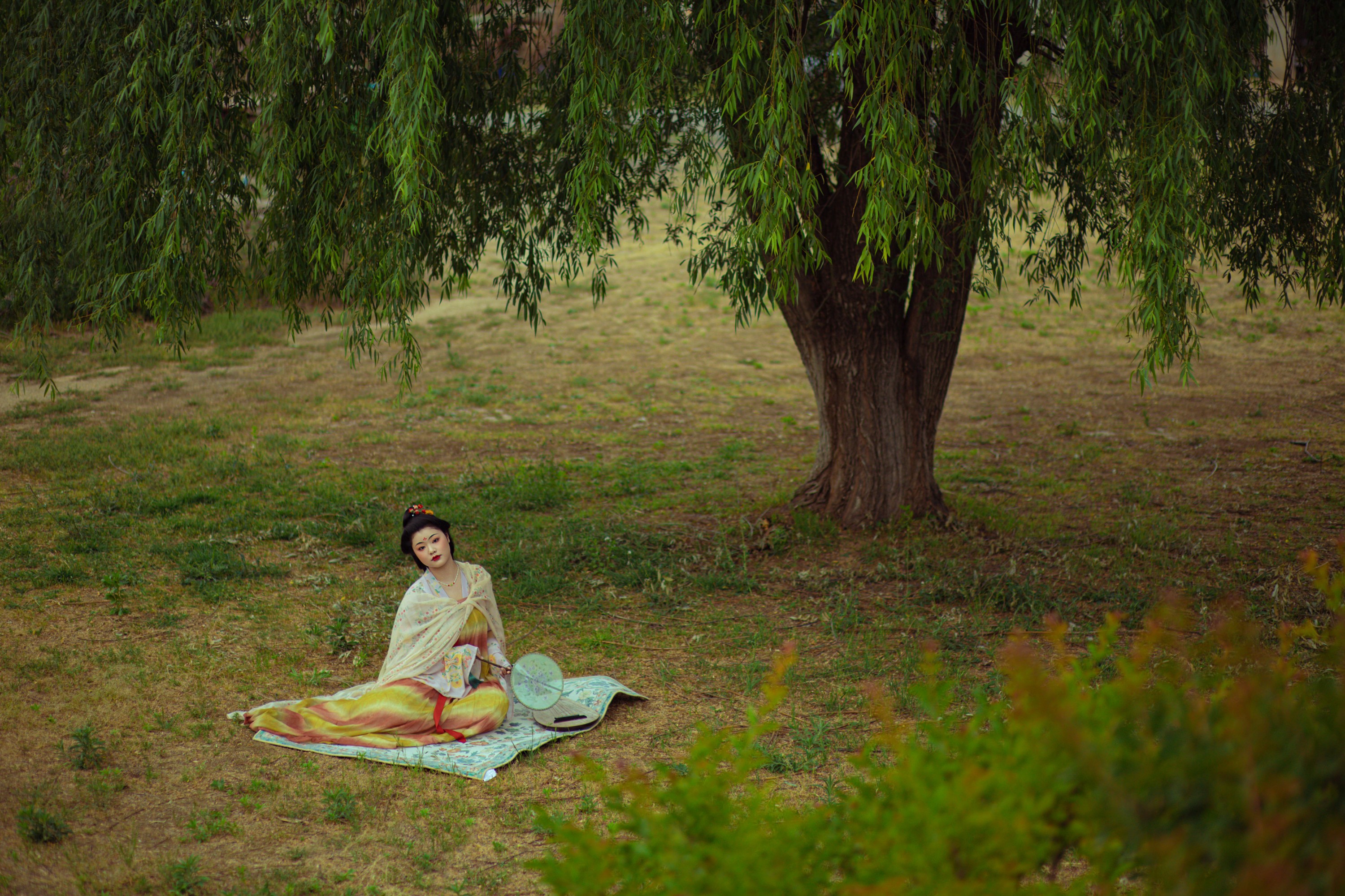 – 《天宝》[28P]