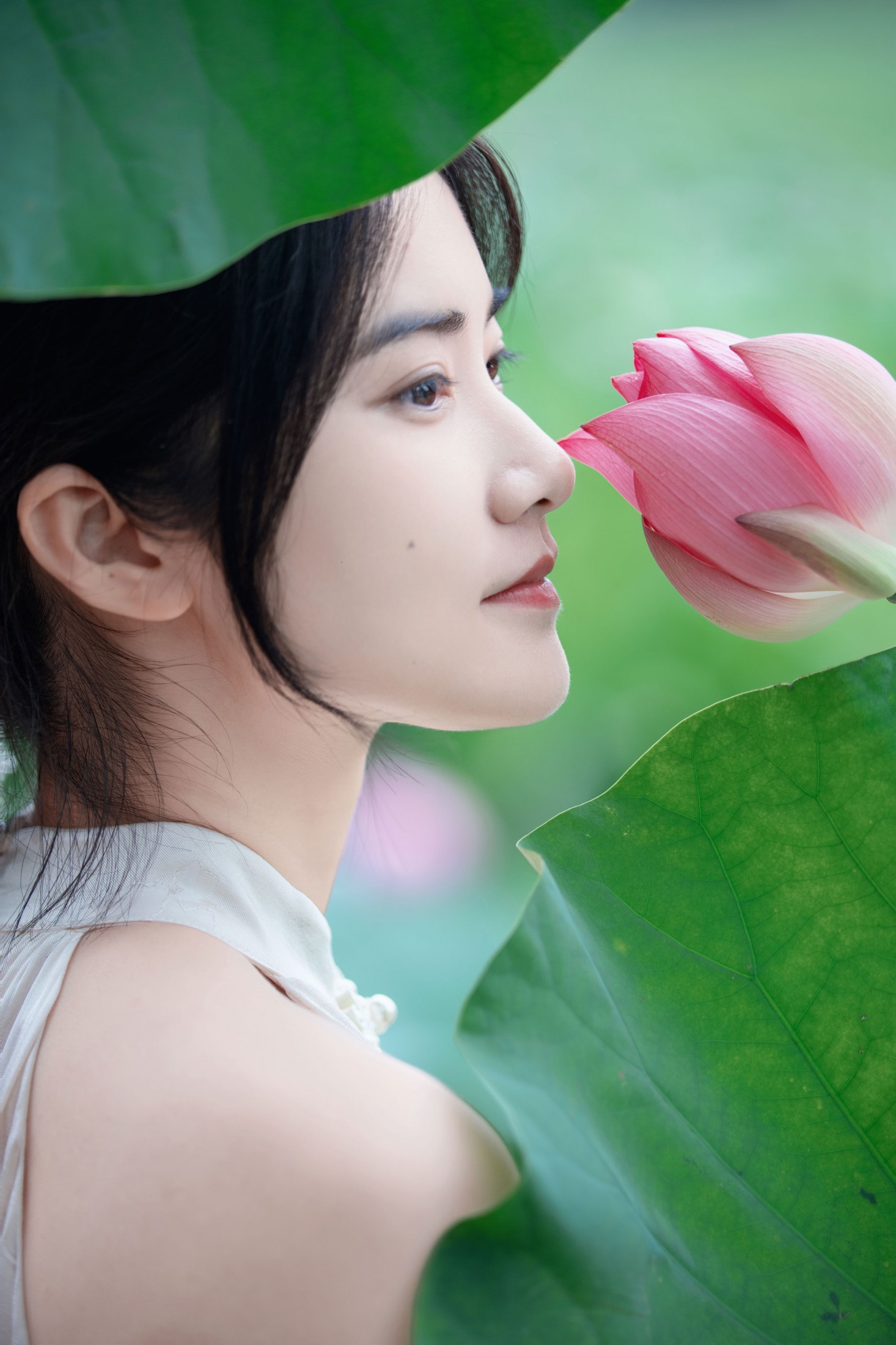 Sandra – 《夏荷之爱》[40P]