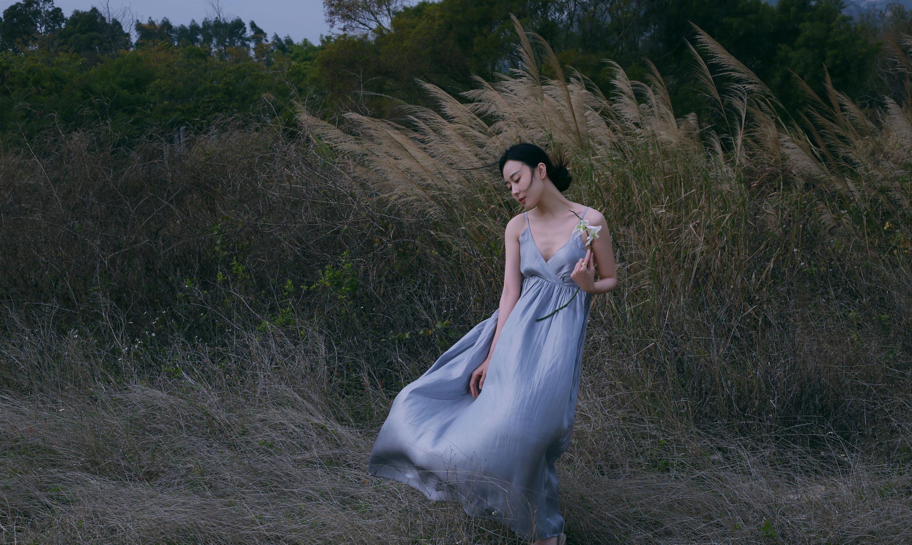 – 《秋风来过》[25P]