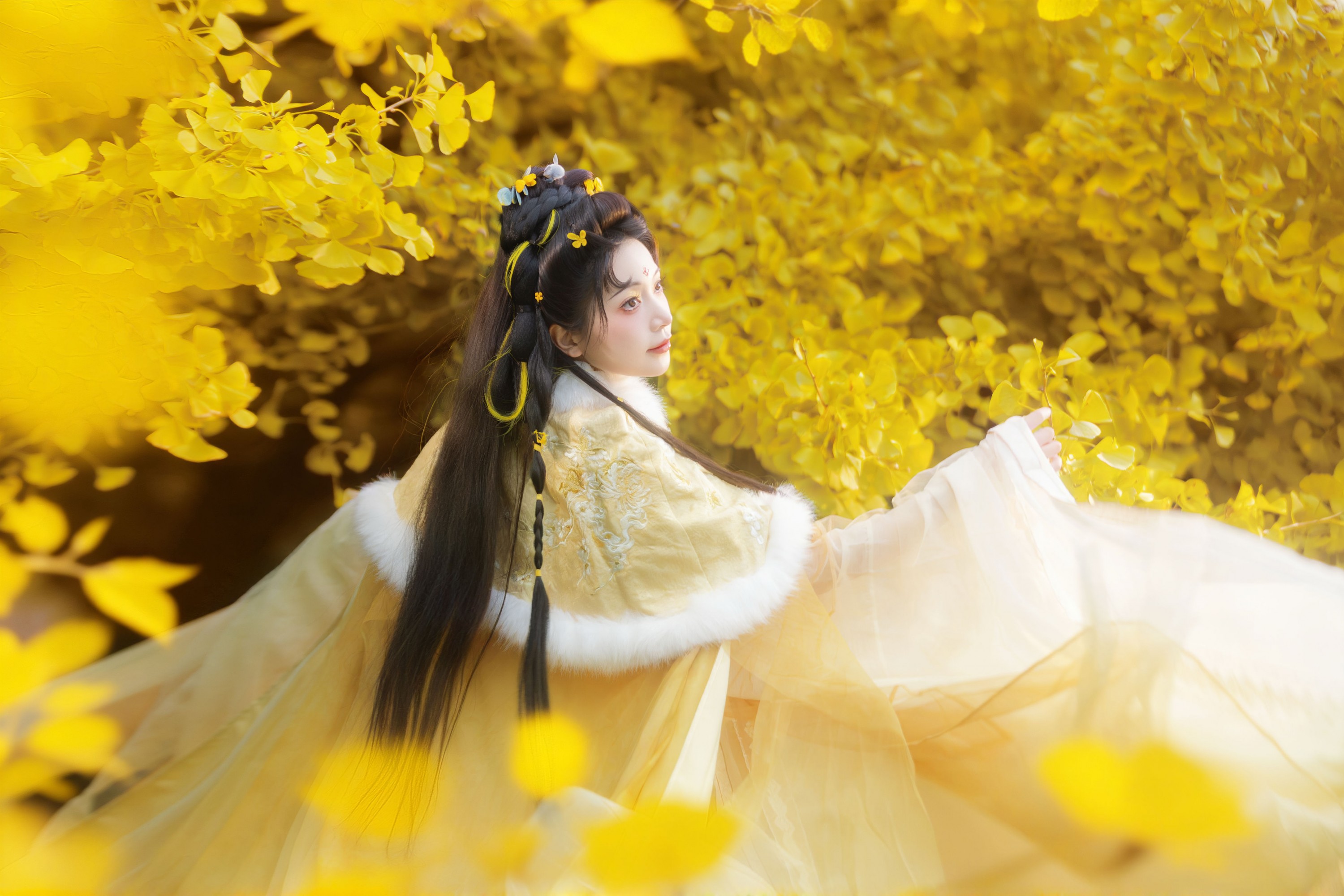 珂珂珂珂珂珂- - 《银杏落金，汉服知秋》[14P]