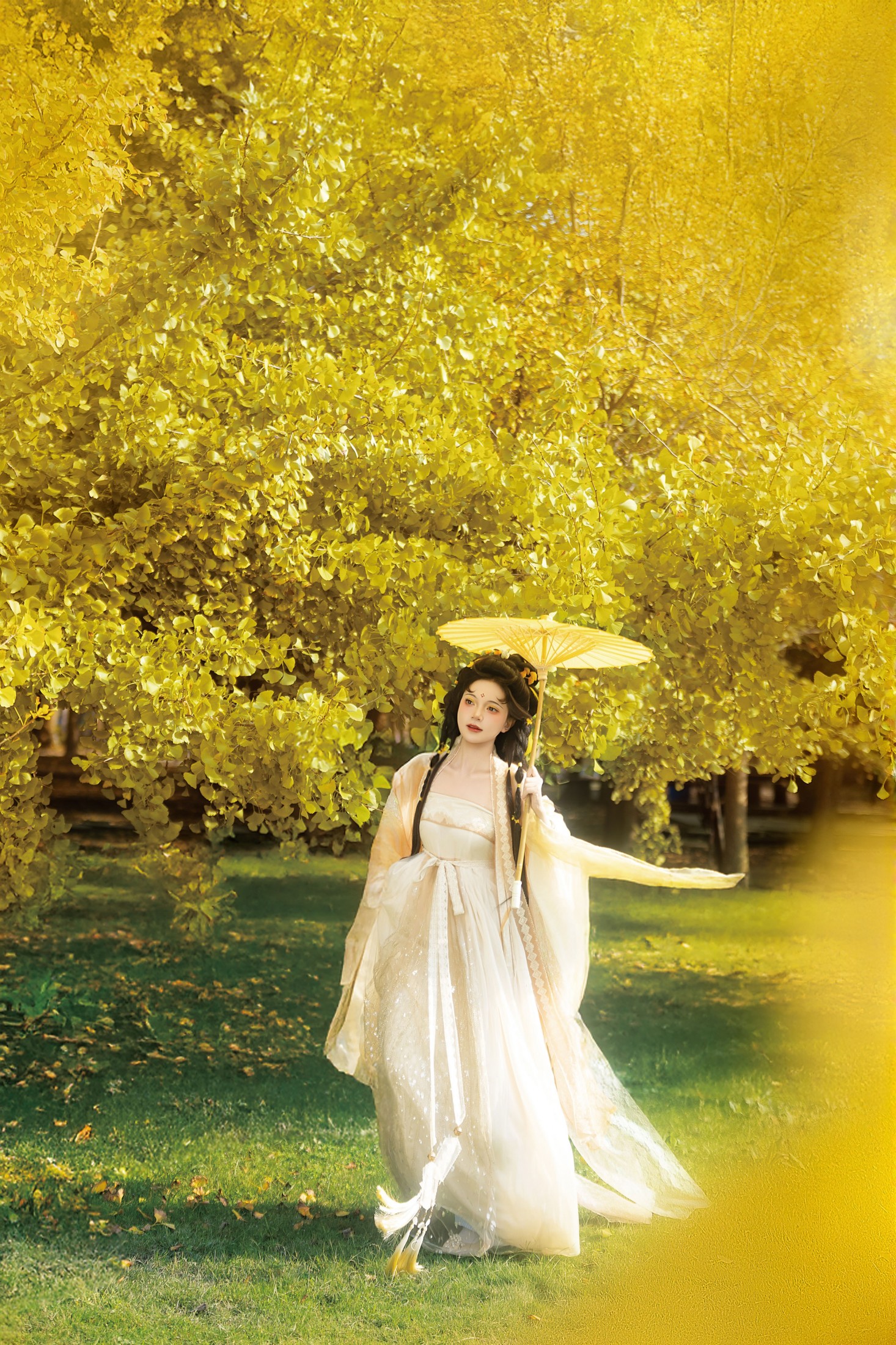 珂珂珂珂珂珂- – 《银杏落金，汉服知秋》[14P]