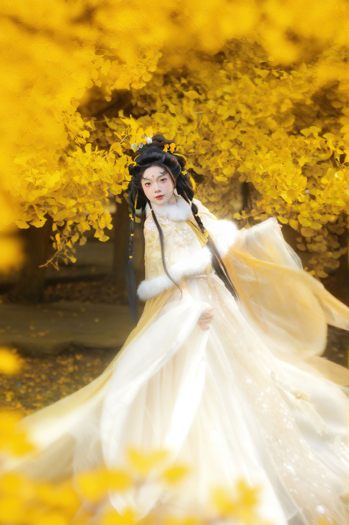 珂珂珂珂珂珂- - 《银杏落金，汉服知秋》[14P]