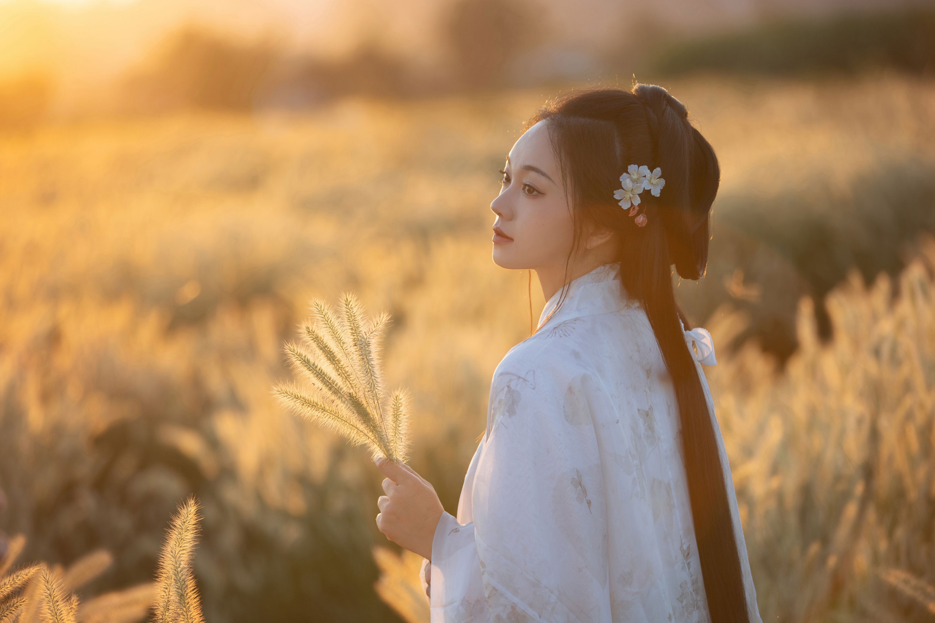 秋哒哒-- - 《神谕》[28P]