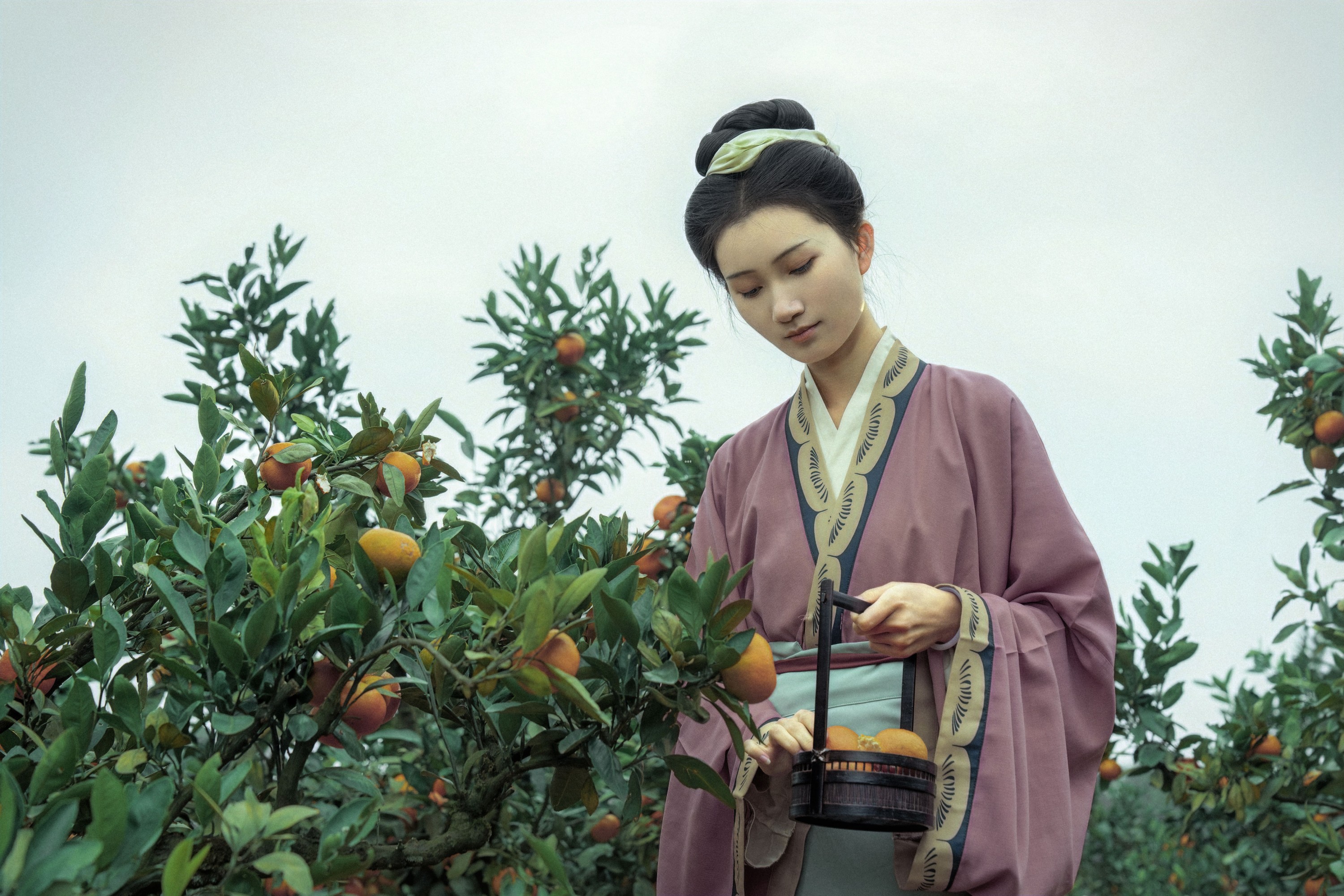 冰皮月亮蛋~ - 《大橘为重》[12P]