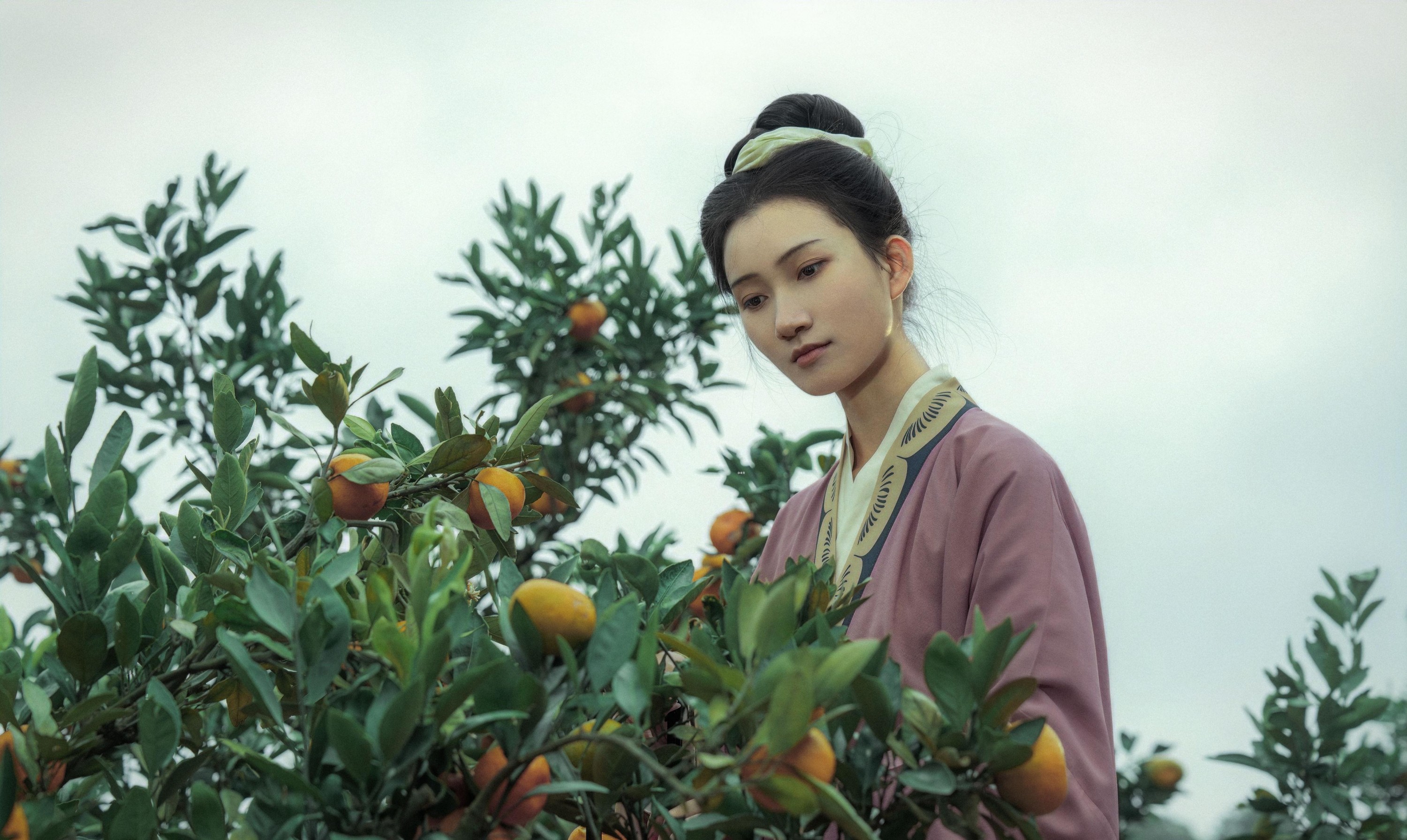 冰皮月亮蛋~ - 《大橘为重》[12P]