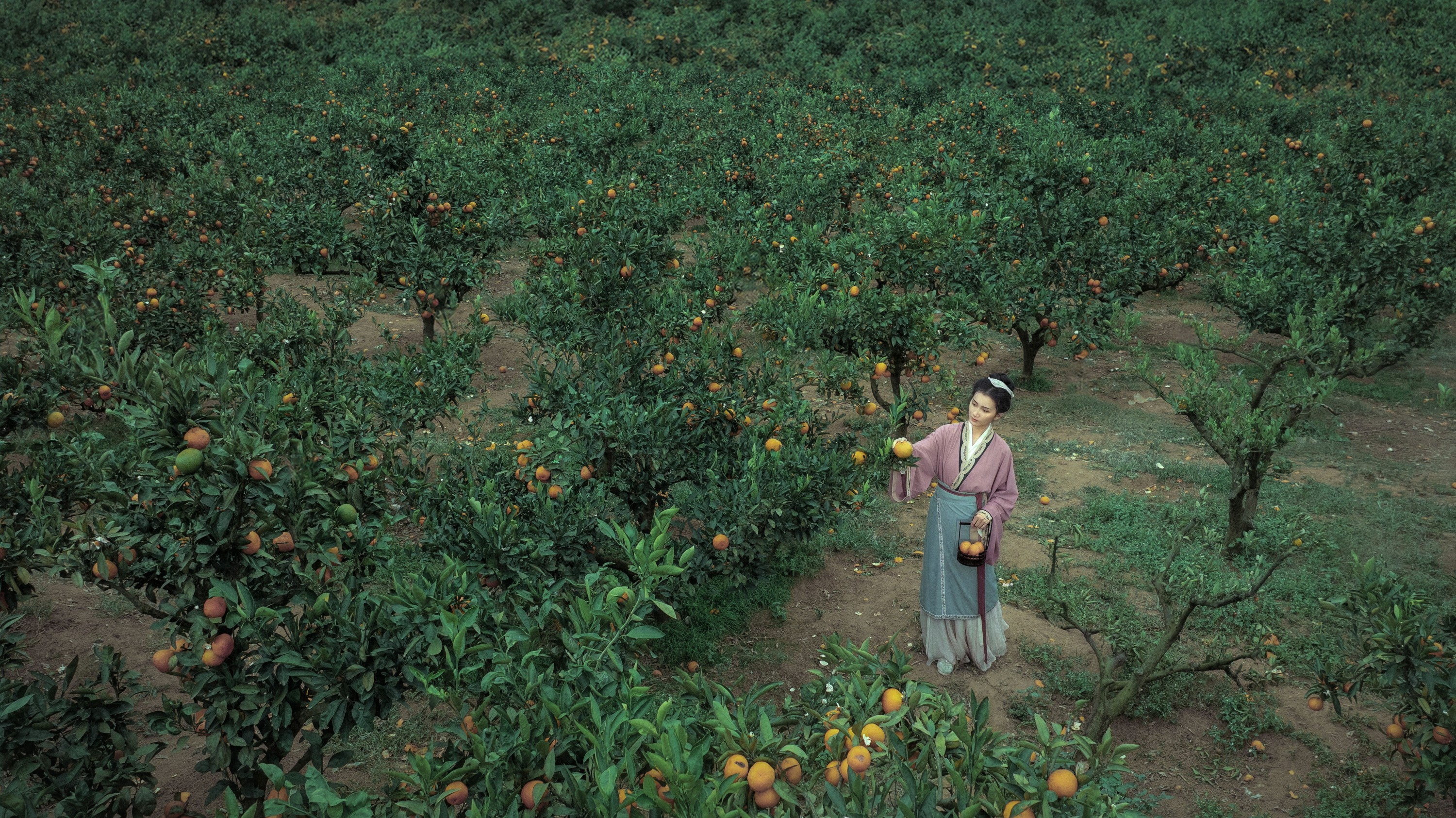 冰皮月亮蛋~ - 《大橘为重》[12P]