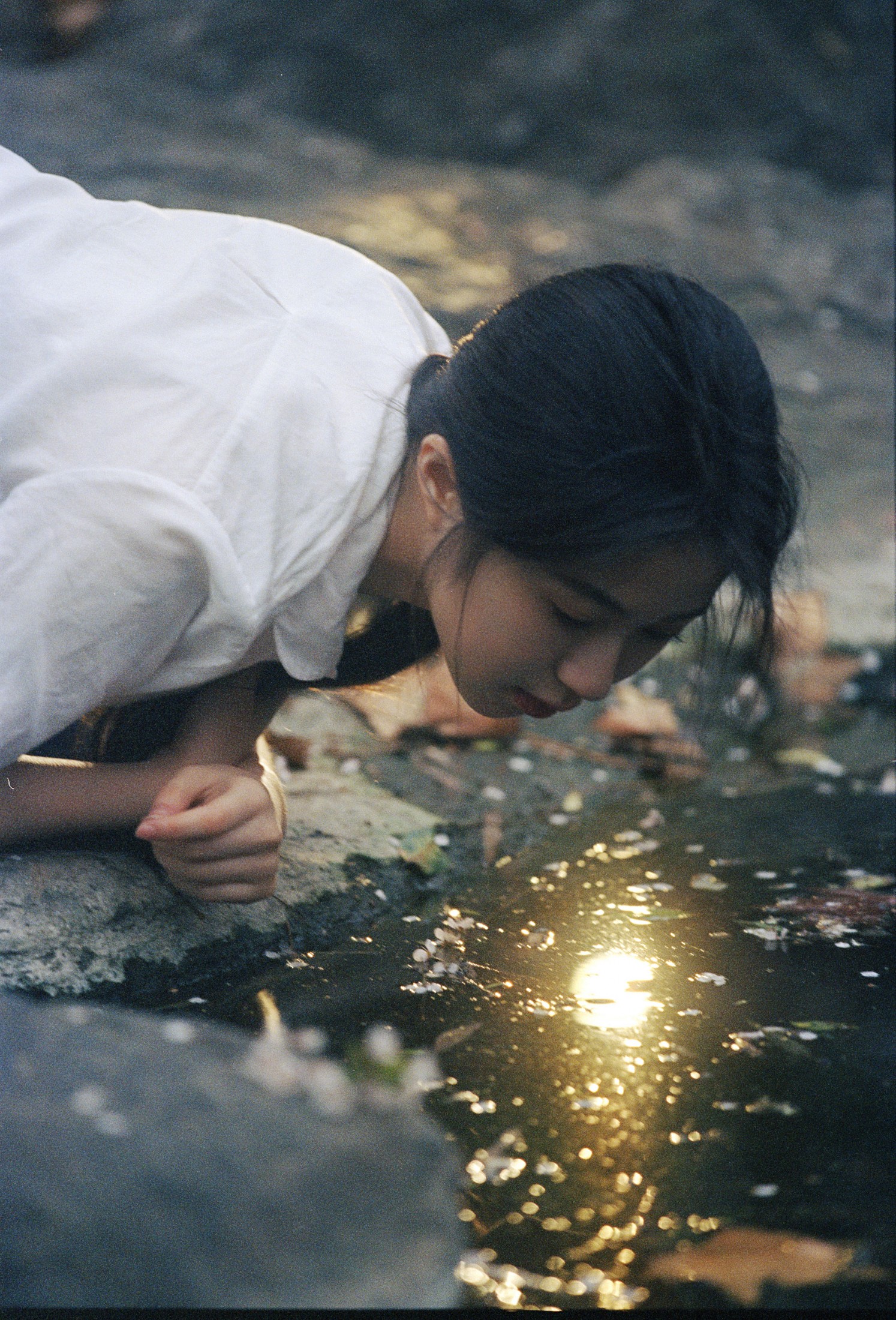 姚-胖胖 - 《花下的梦》[39P]