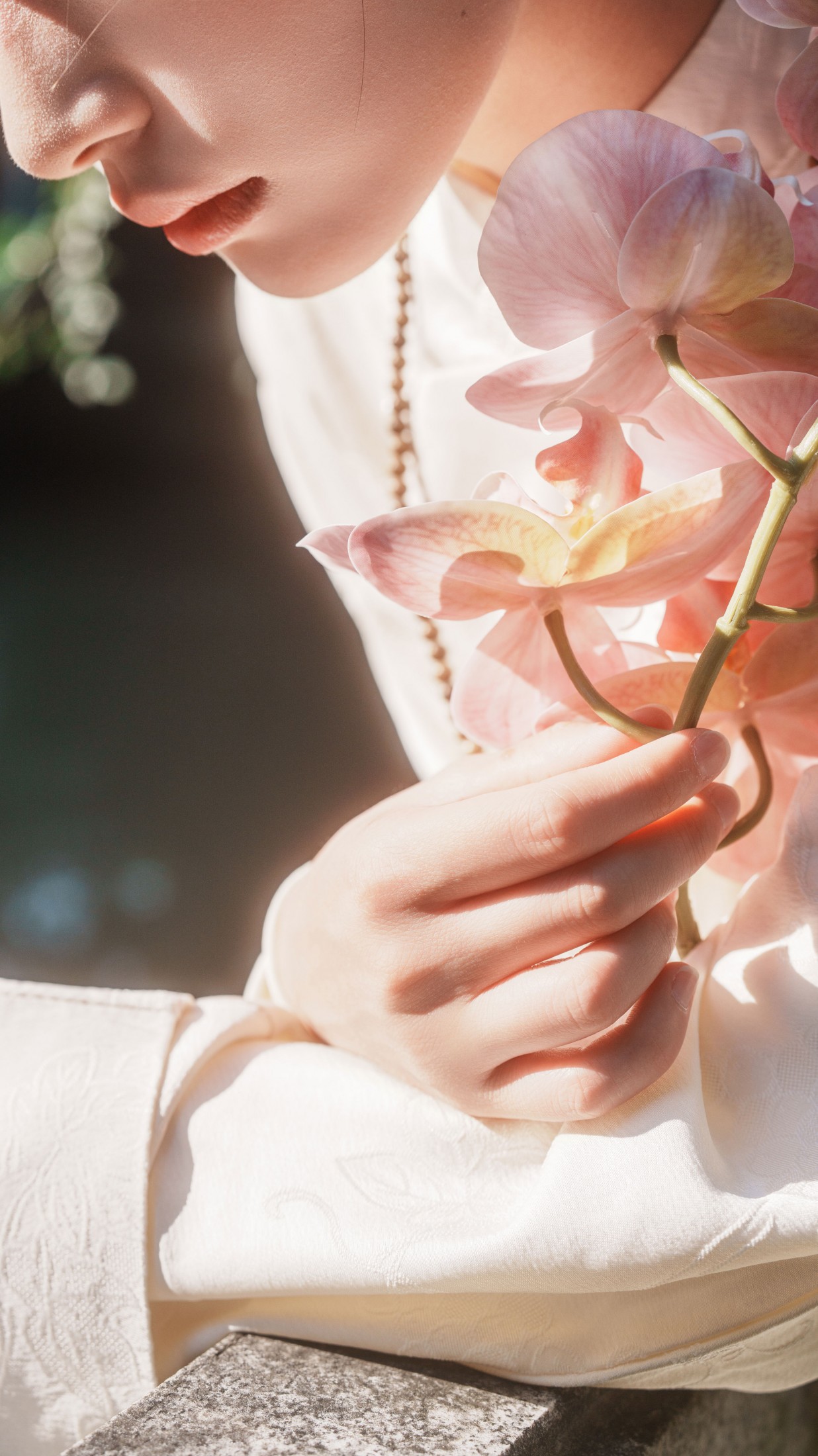 《禅之意》[24P]