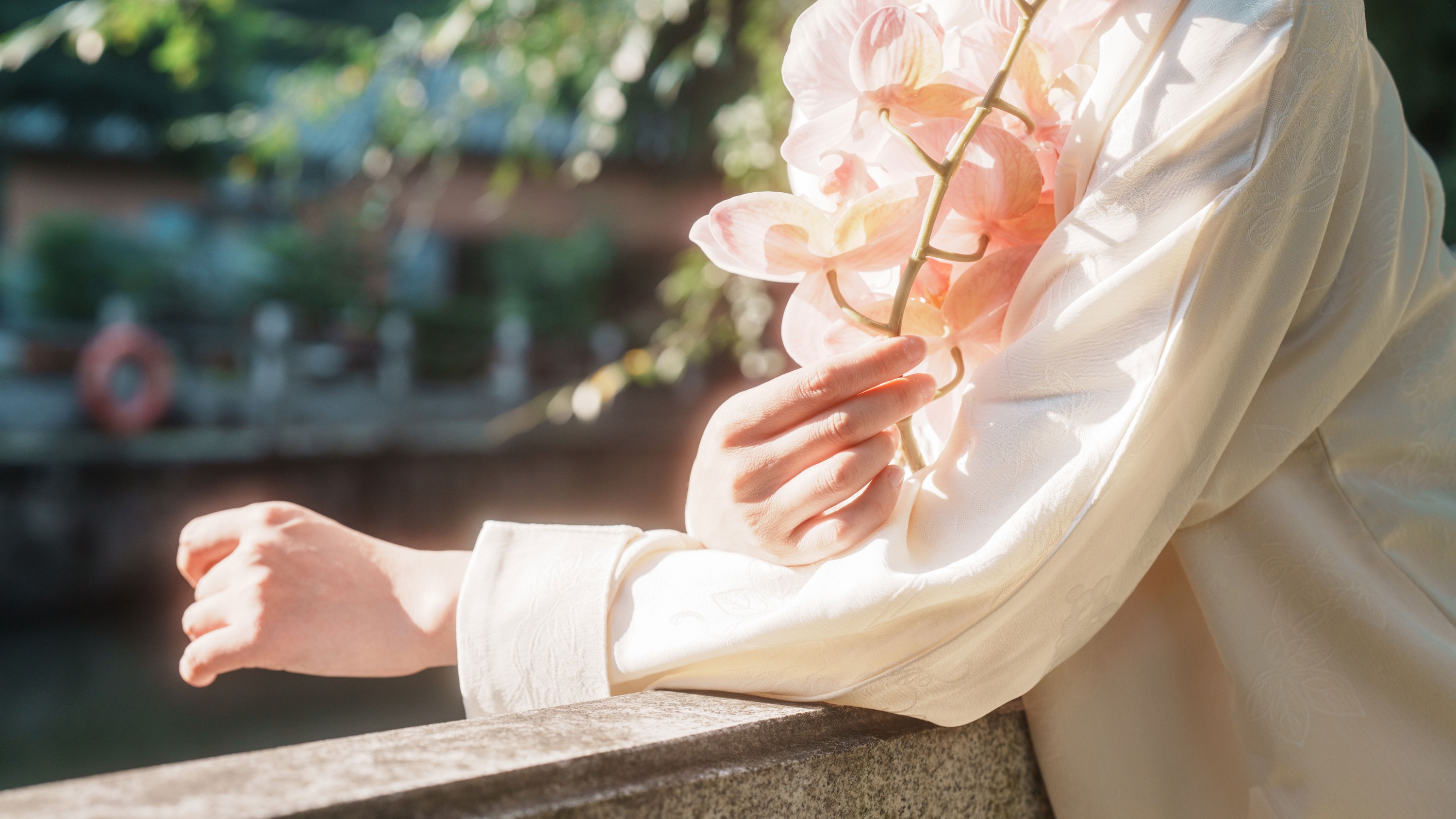 《禅之意》[24P]