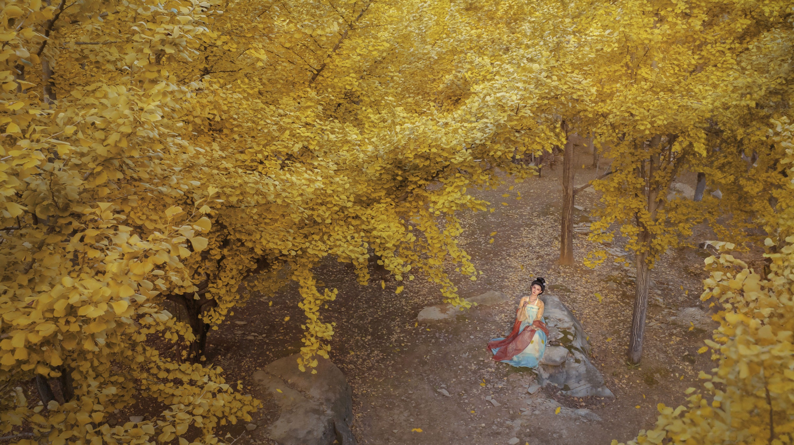 冰皮月亮蛋~ – 《一叶知秋诗意浓》[12P]