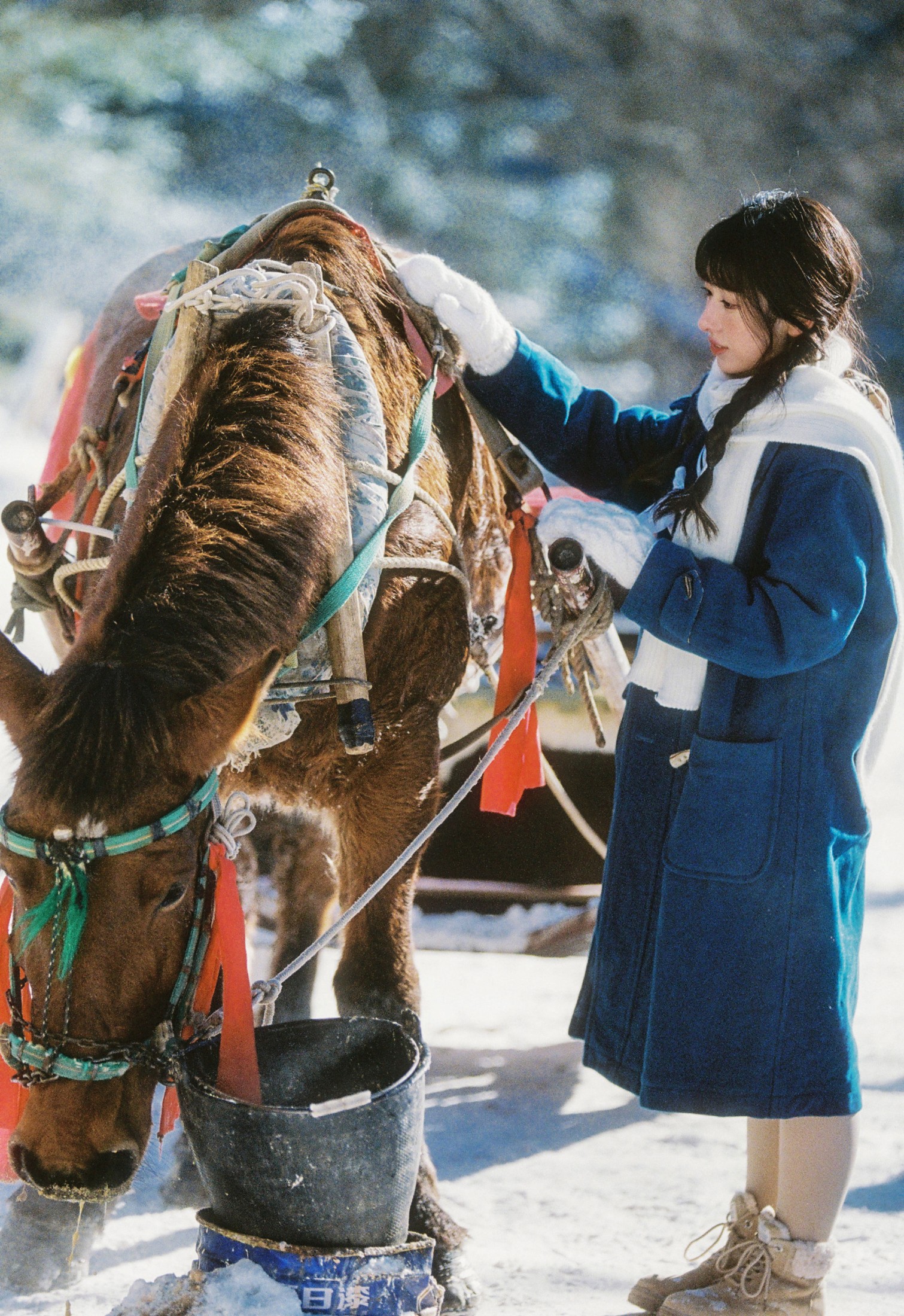 苗可青 - 《北国之冬》[20P]