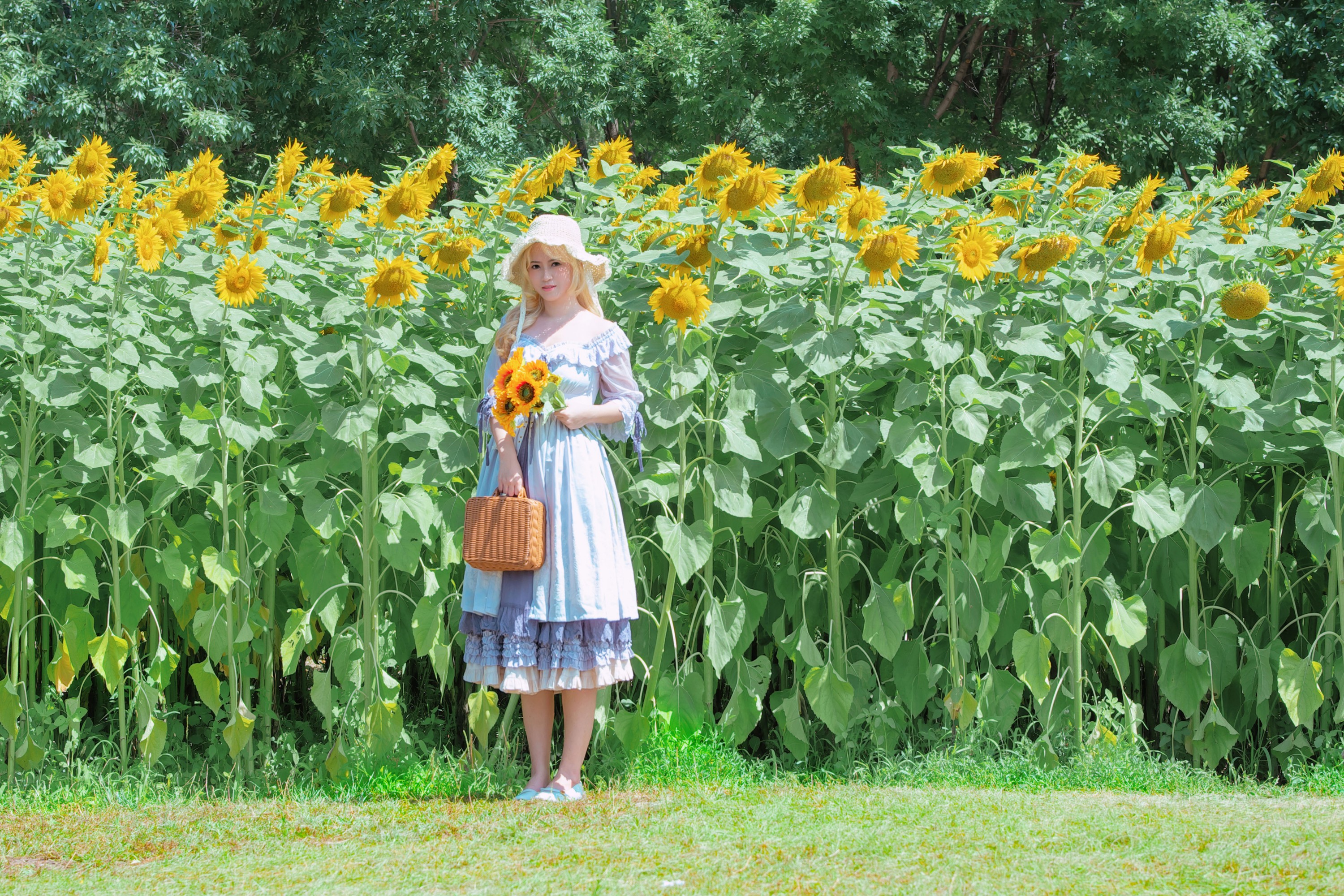 – 《向阳而生，追光而行》[12P]