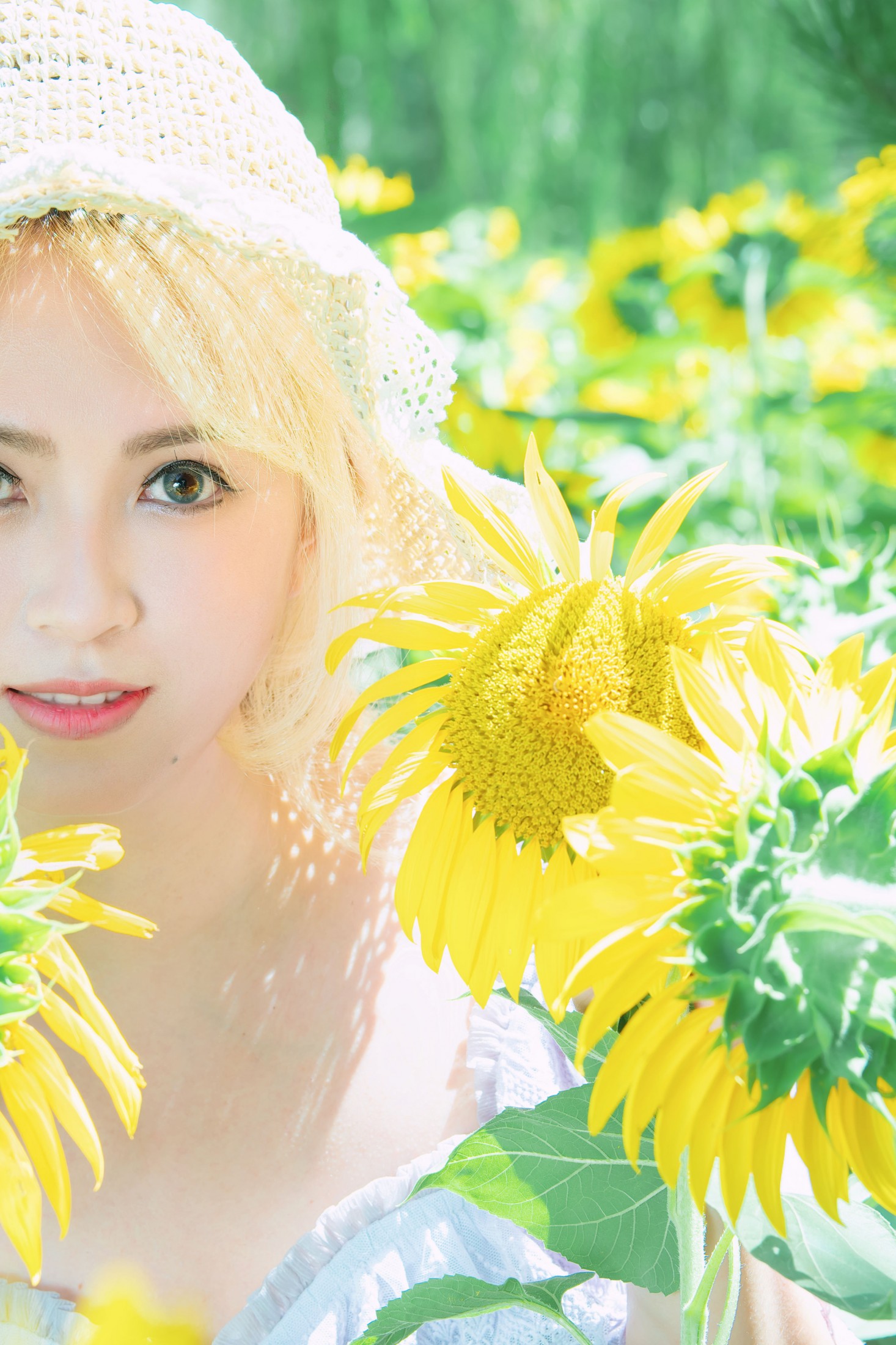 – 《向阳而生，追光而行》[12P]