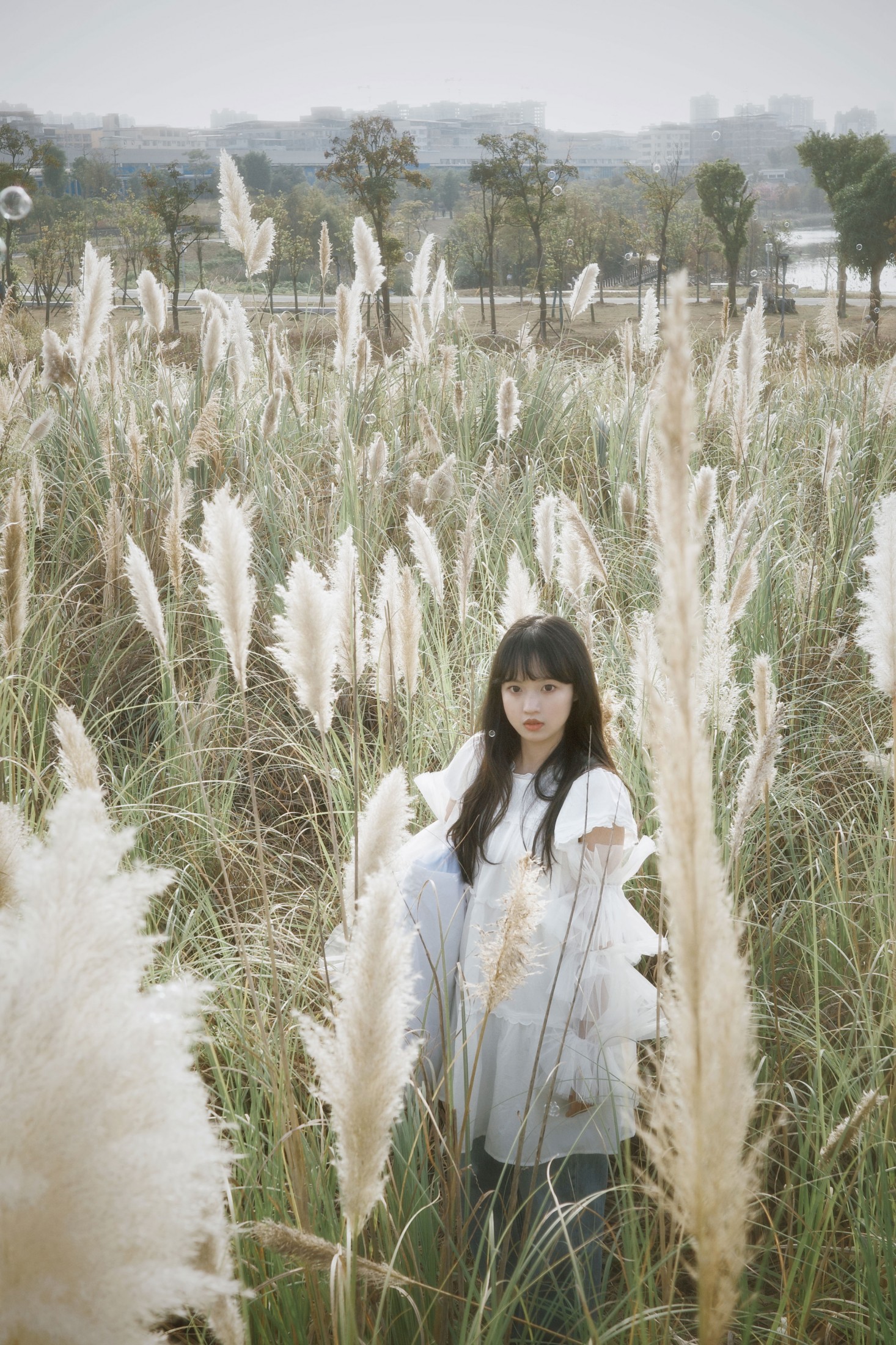 – 《芦苇幻梦》[10P]