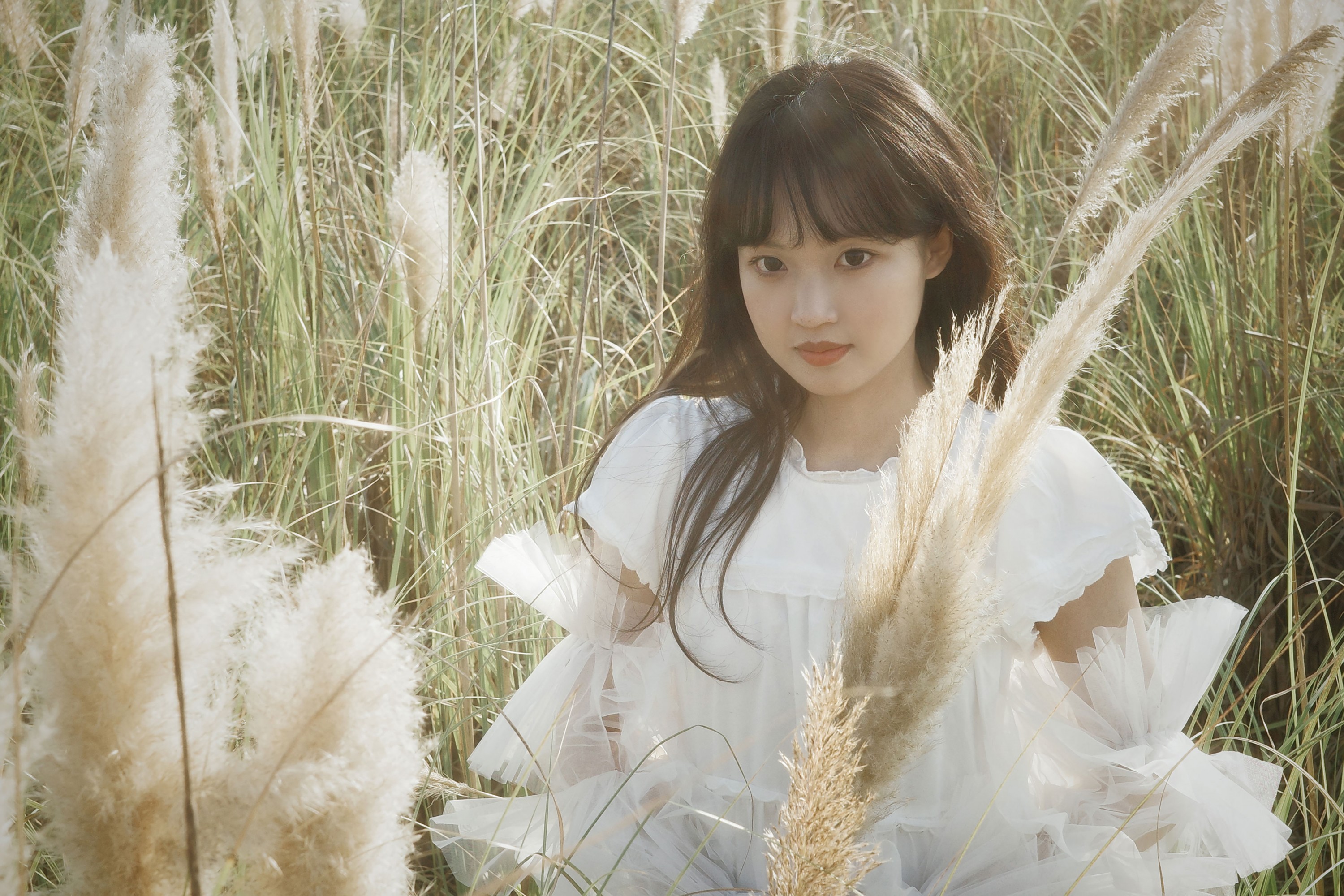 – 《芦苇幻梦》[10P]