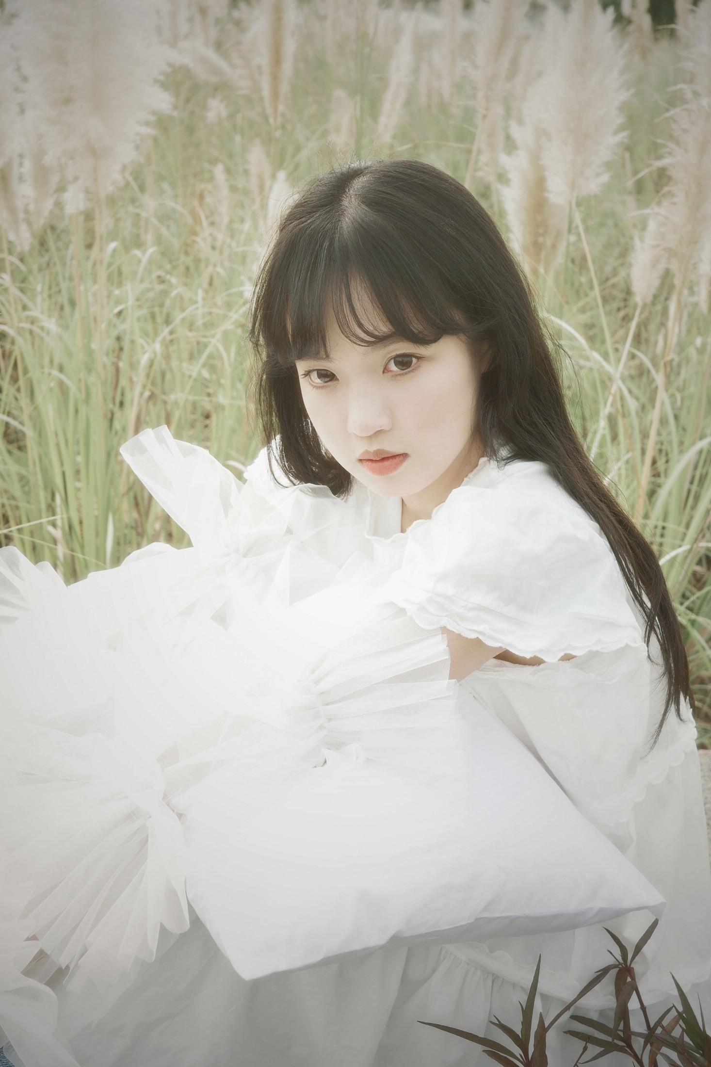 – 《芦苇幻梦》[10P]