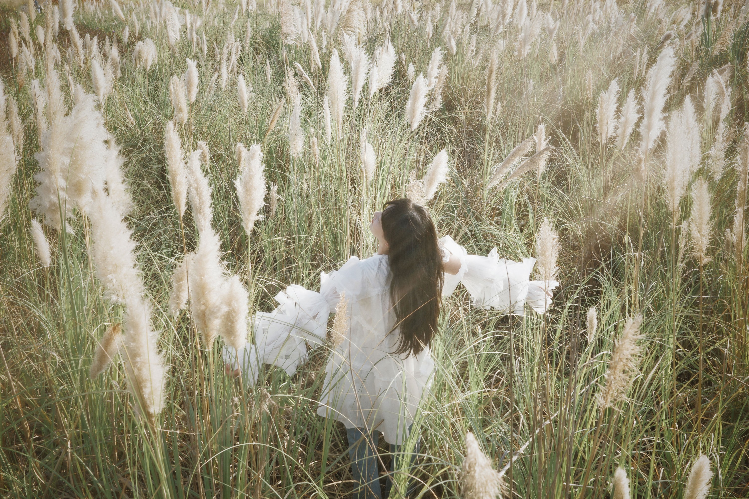 – 《芦苇幻梦》[10P]