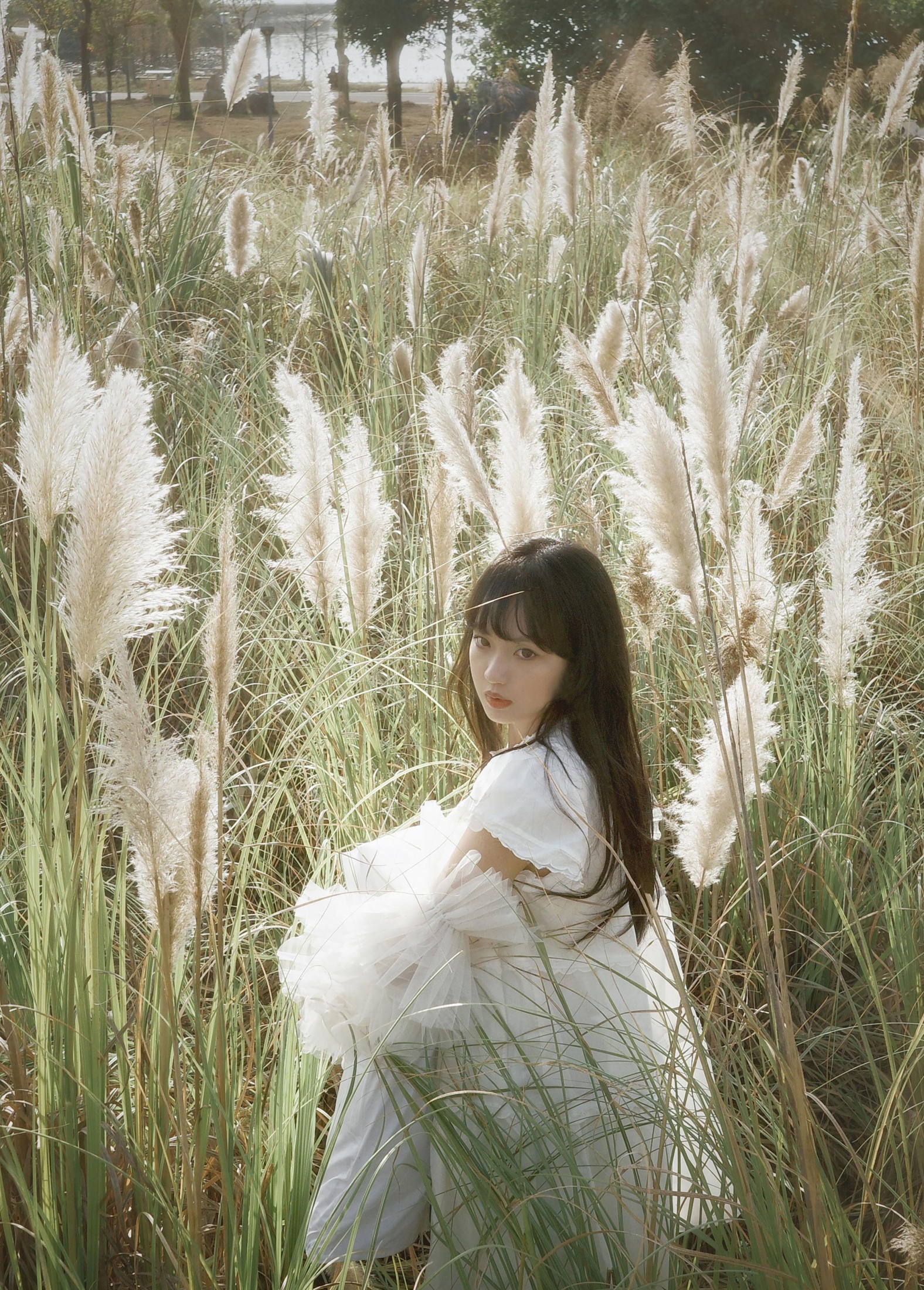 – 《芦苇幻梦》[10P]