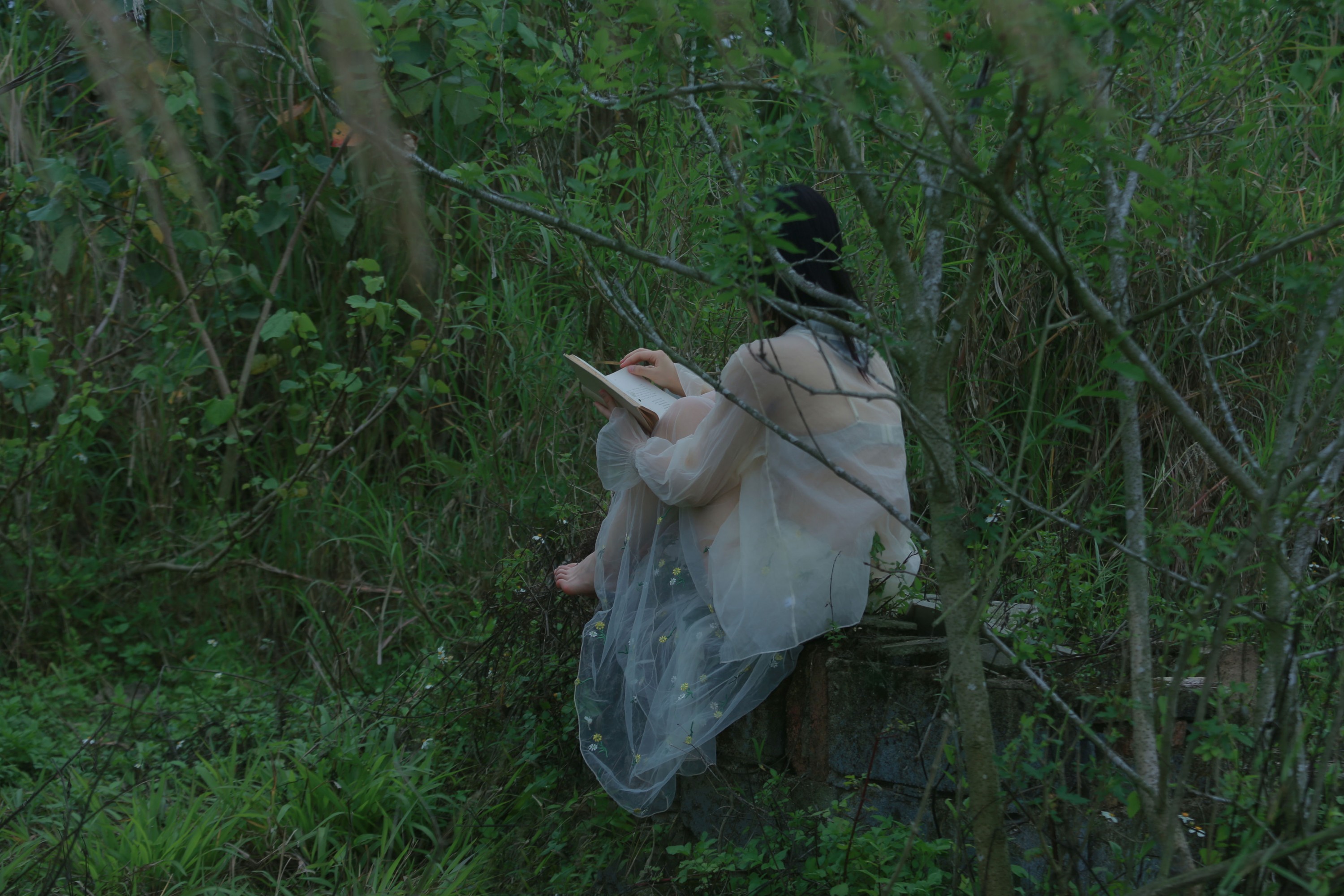 – 《夏长》[20P]