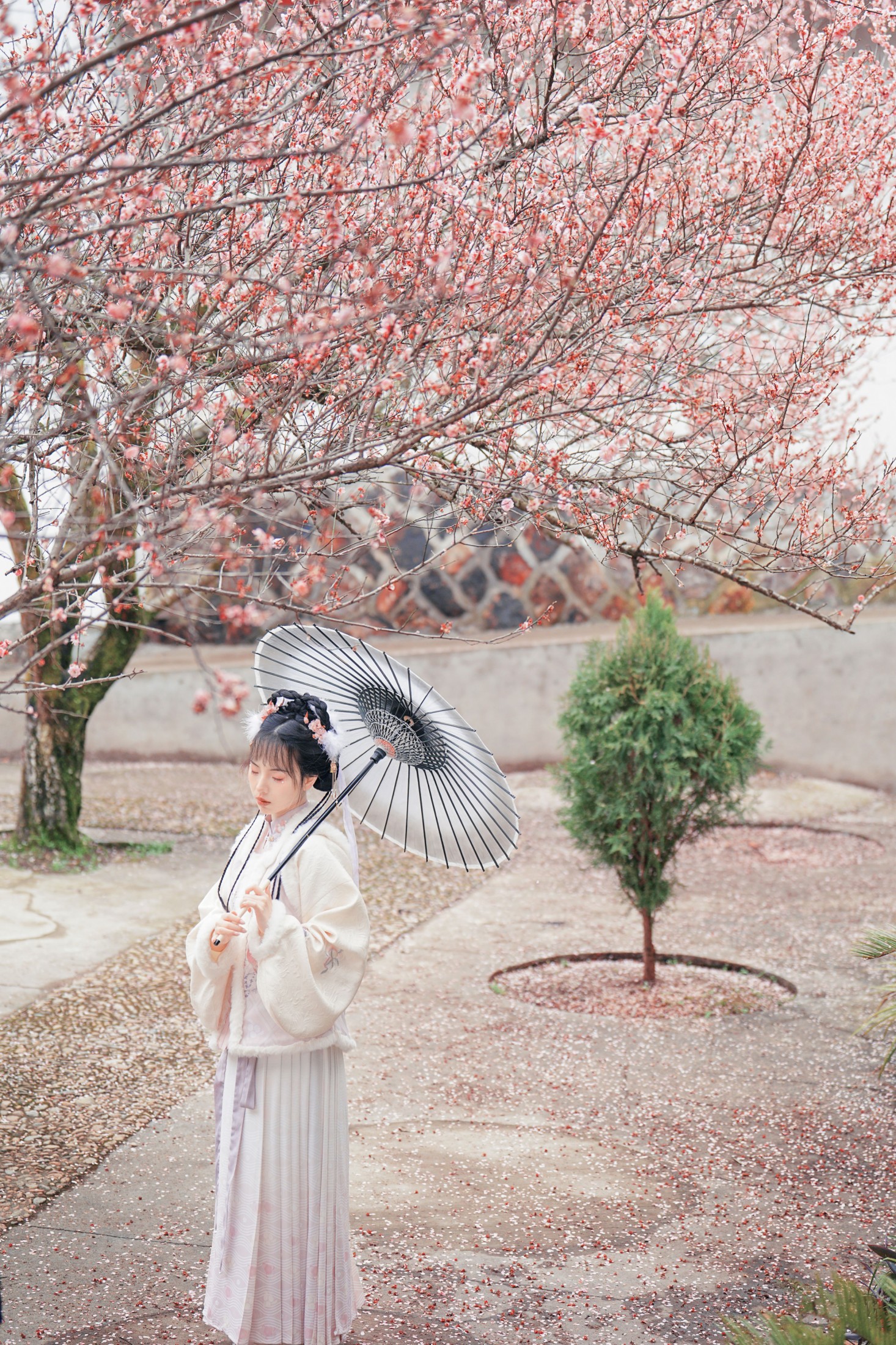 illion – 《古风人像拍摄-素素》[13P]