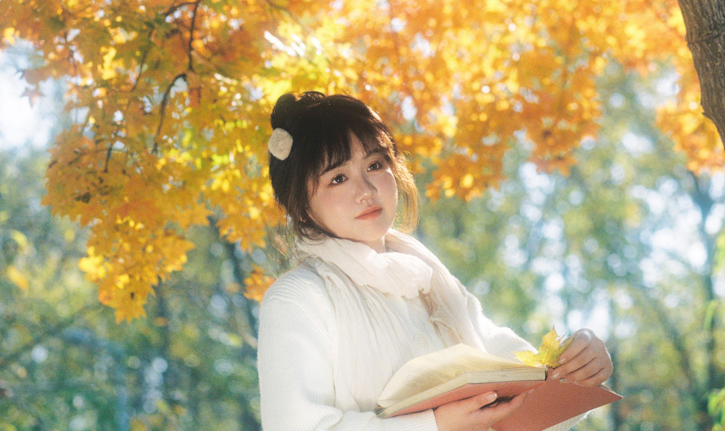 。 – 《在这个落叶像雪的季节》[11P]