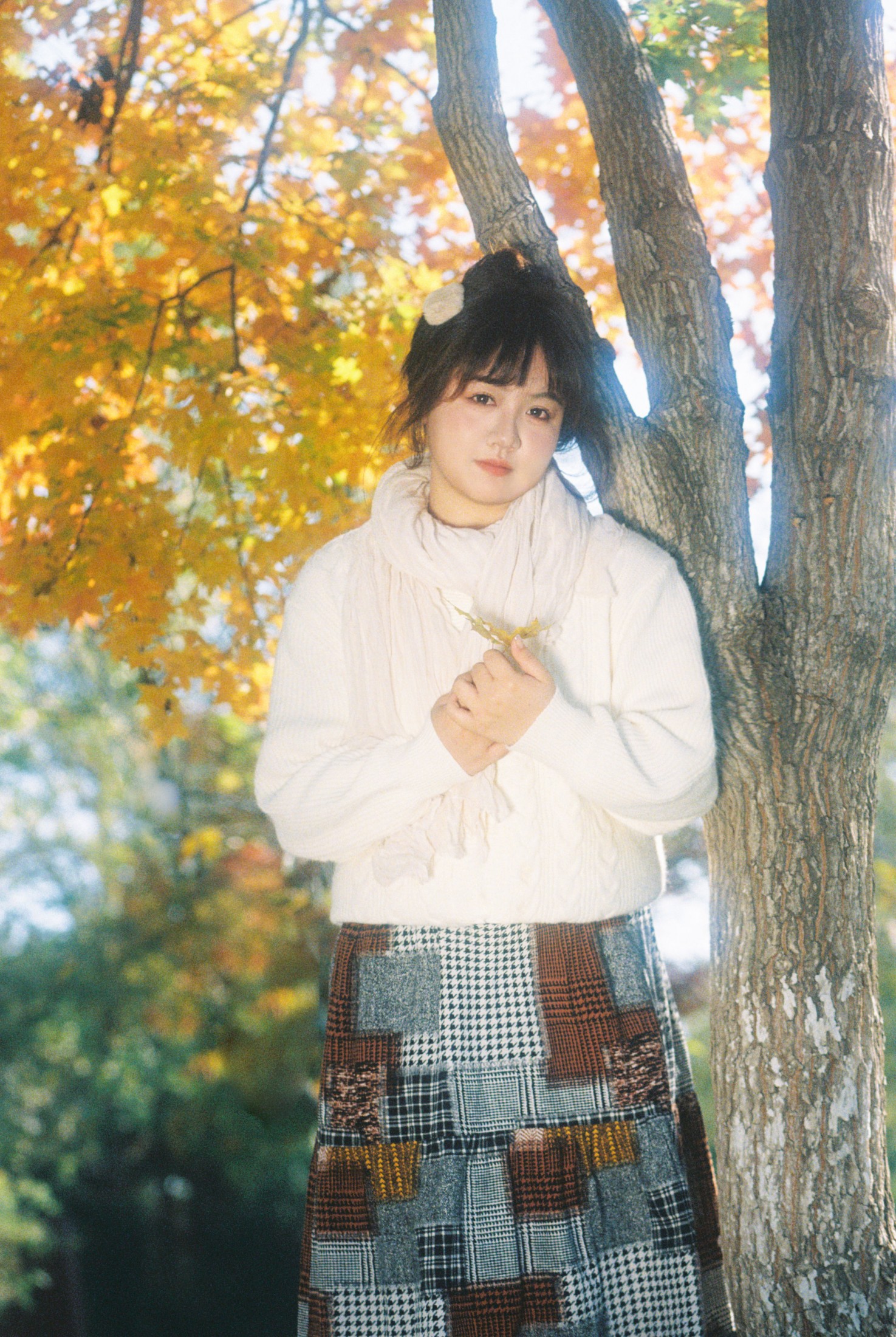 。 – 《在这个落叶像雪的季节》[11P]